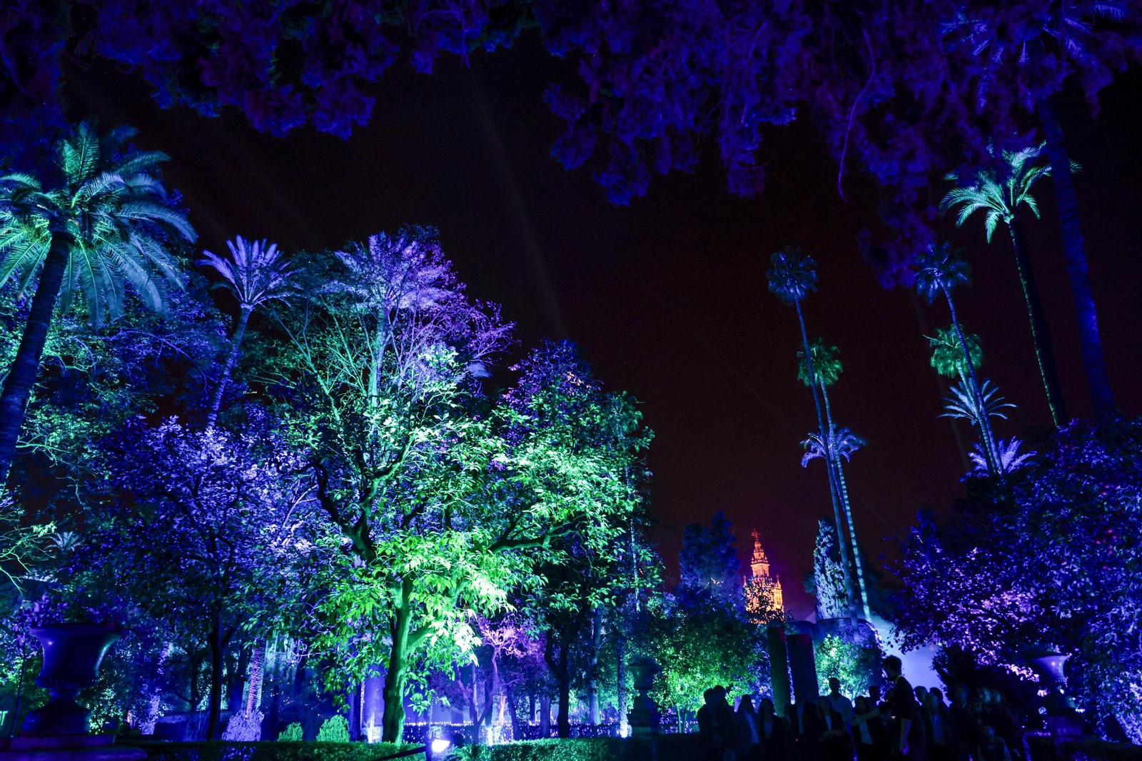 Las imágenes de un paseo por Naturaleza Encendida