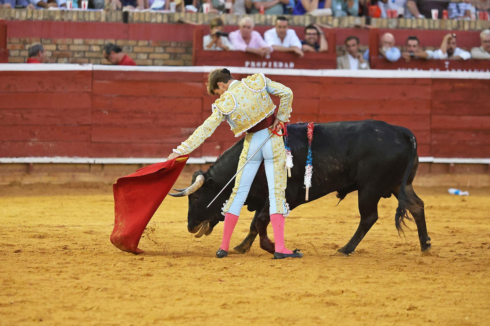 Toros La Merced 2024 Novillada con picadores(