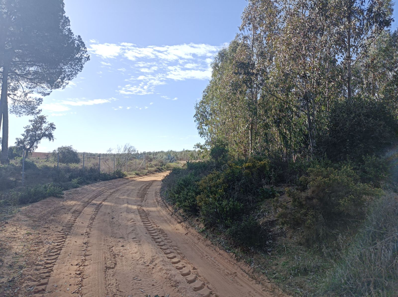 Por esta senda, nos aproximamos al área de descanso.