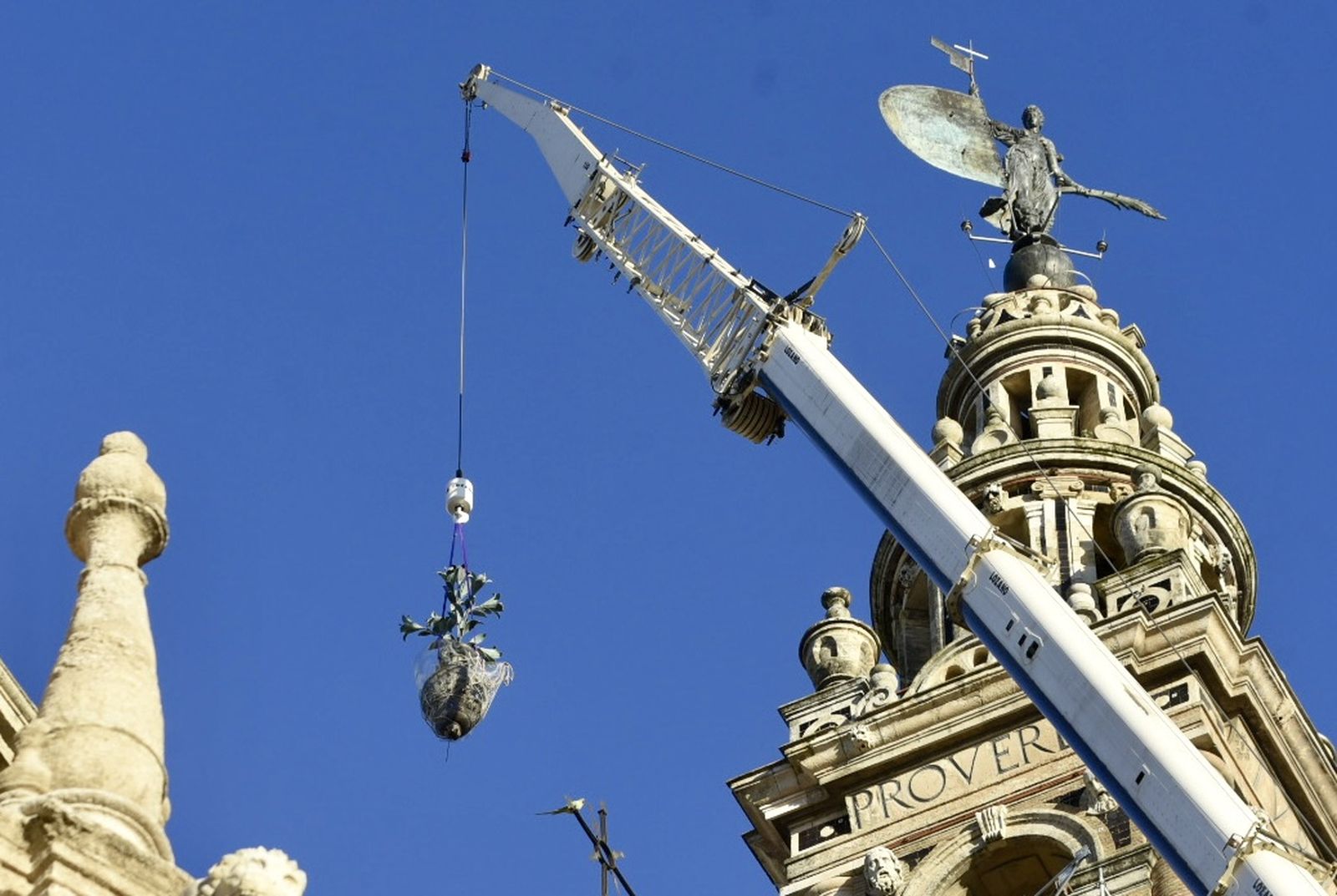 La retirada de las jarras de las azucenas de la Giralda, en imágenes