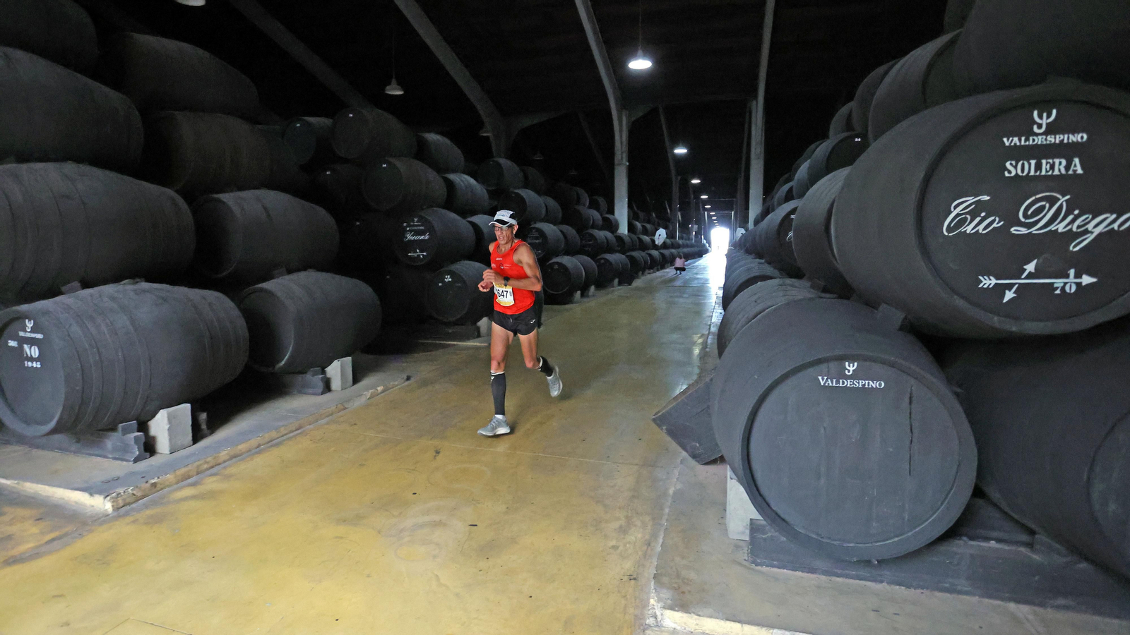 VI Sherry Maratón Jerez