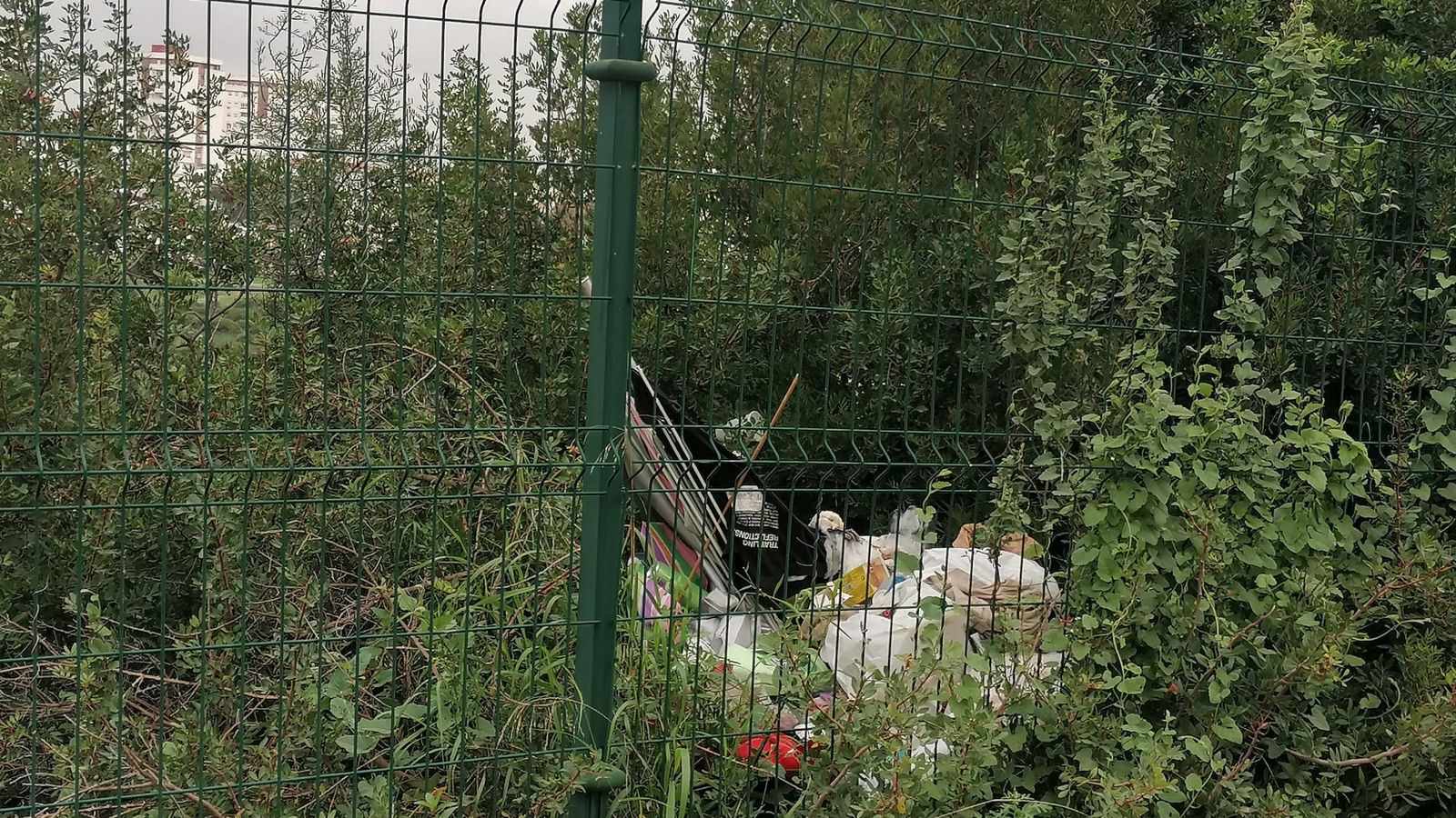 Basura arrojada por el vecino denunciado.