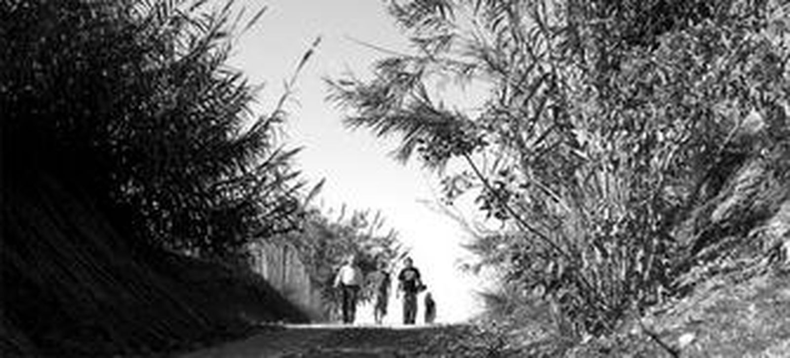 Tramo de la futura vía verde que conectará Cártama con la capital.