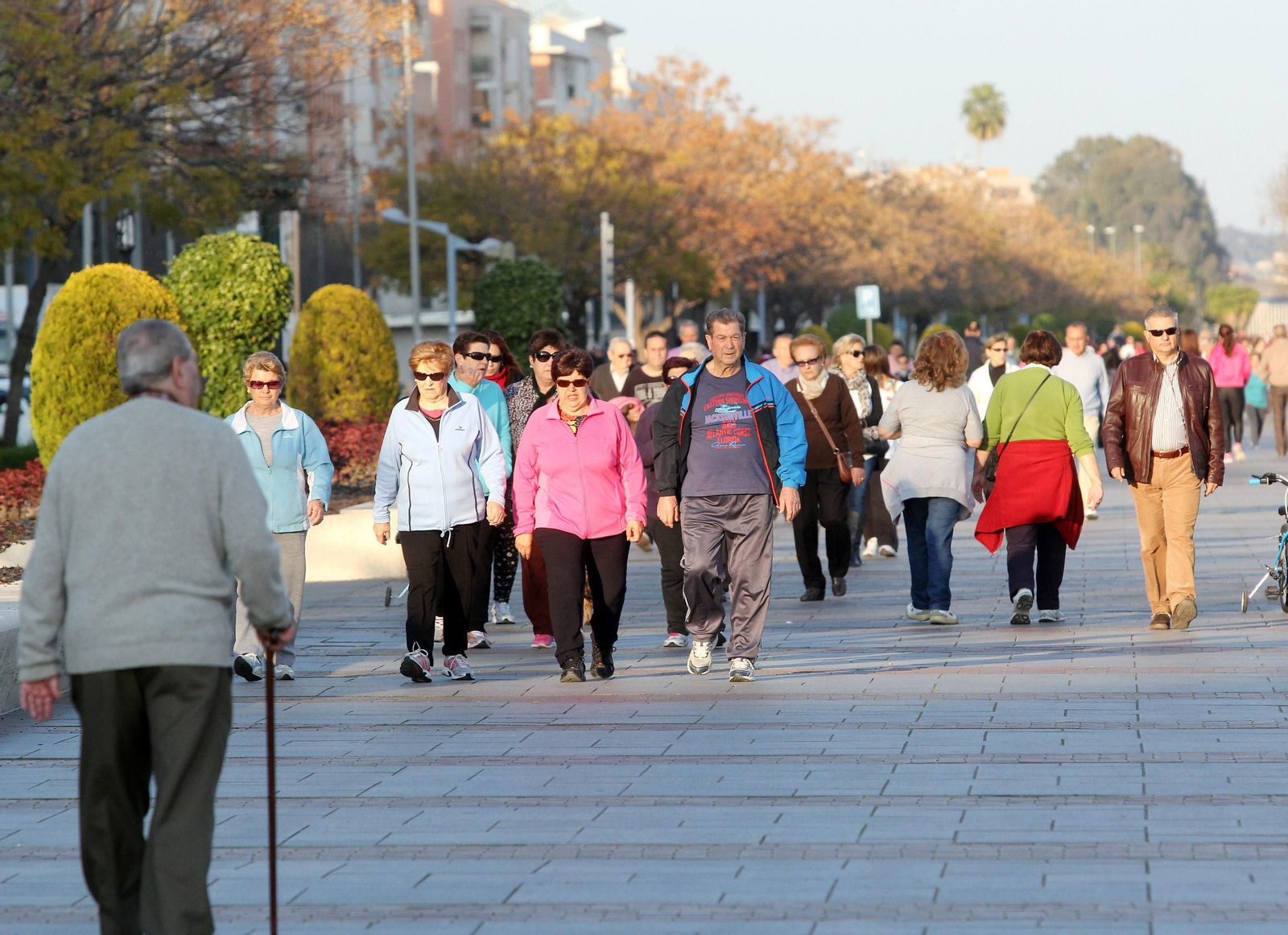 Córdoba sigue viviendo una primavera meterológica anticipada