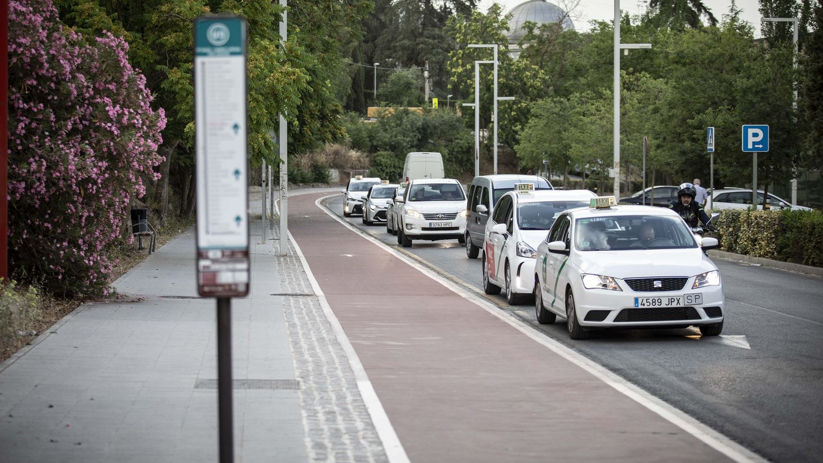 Taxis en Cartuja, esta mañana.