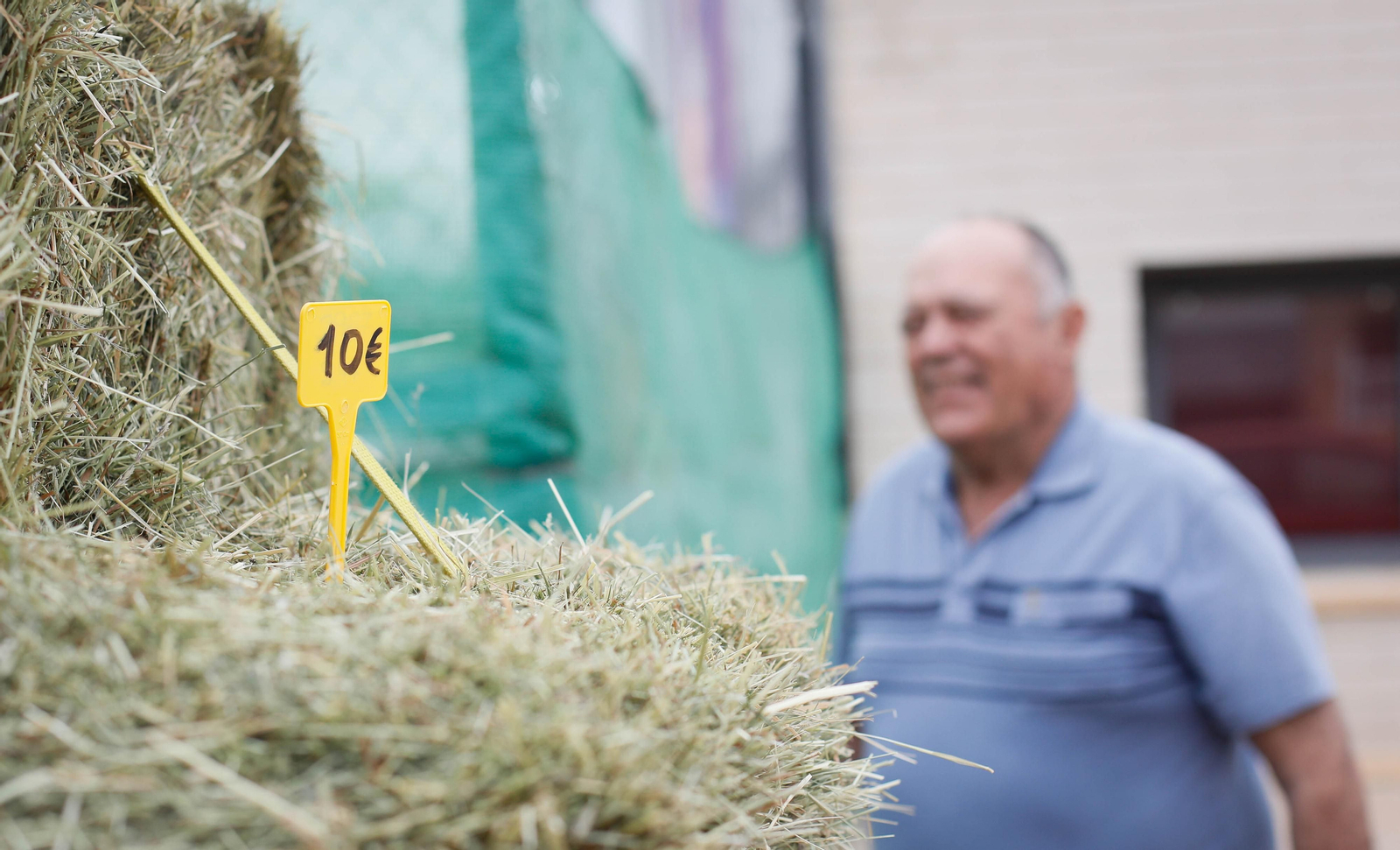 Galería de la Feria  de ganado en Tarambana