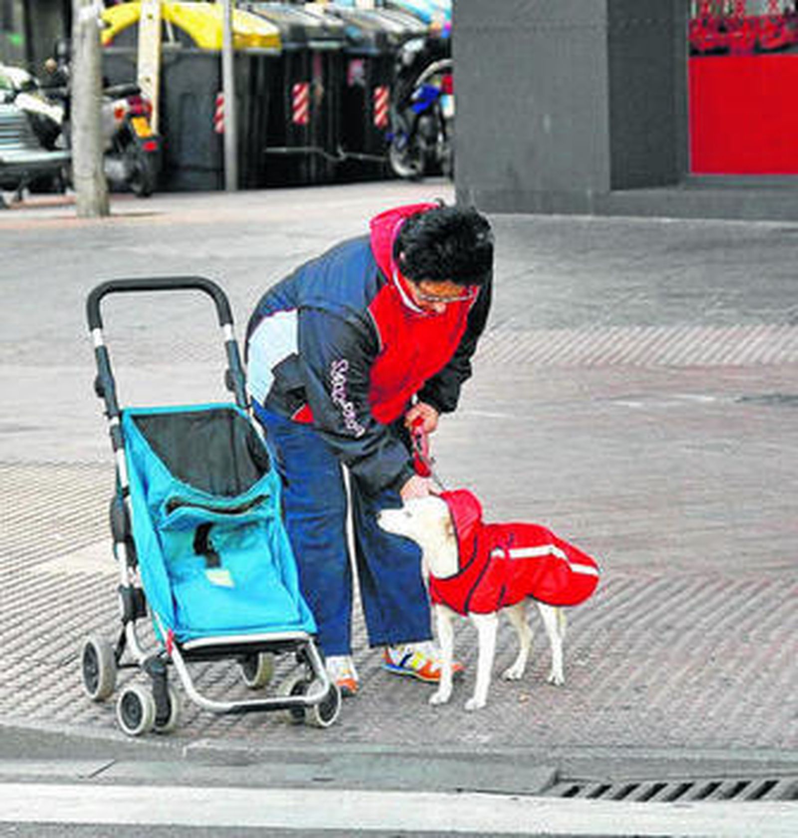Esta señora le buscó un buen abrigo a su perro.