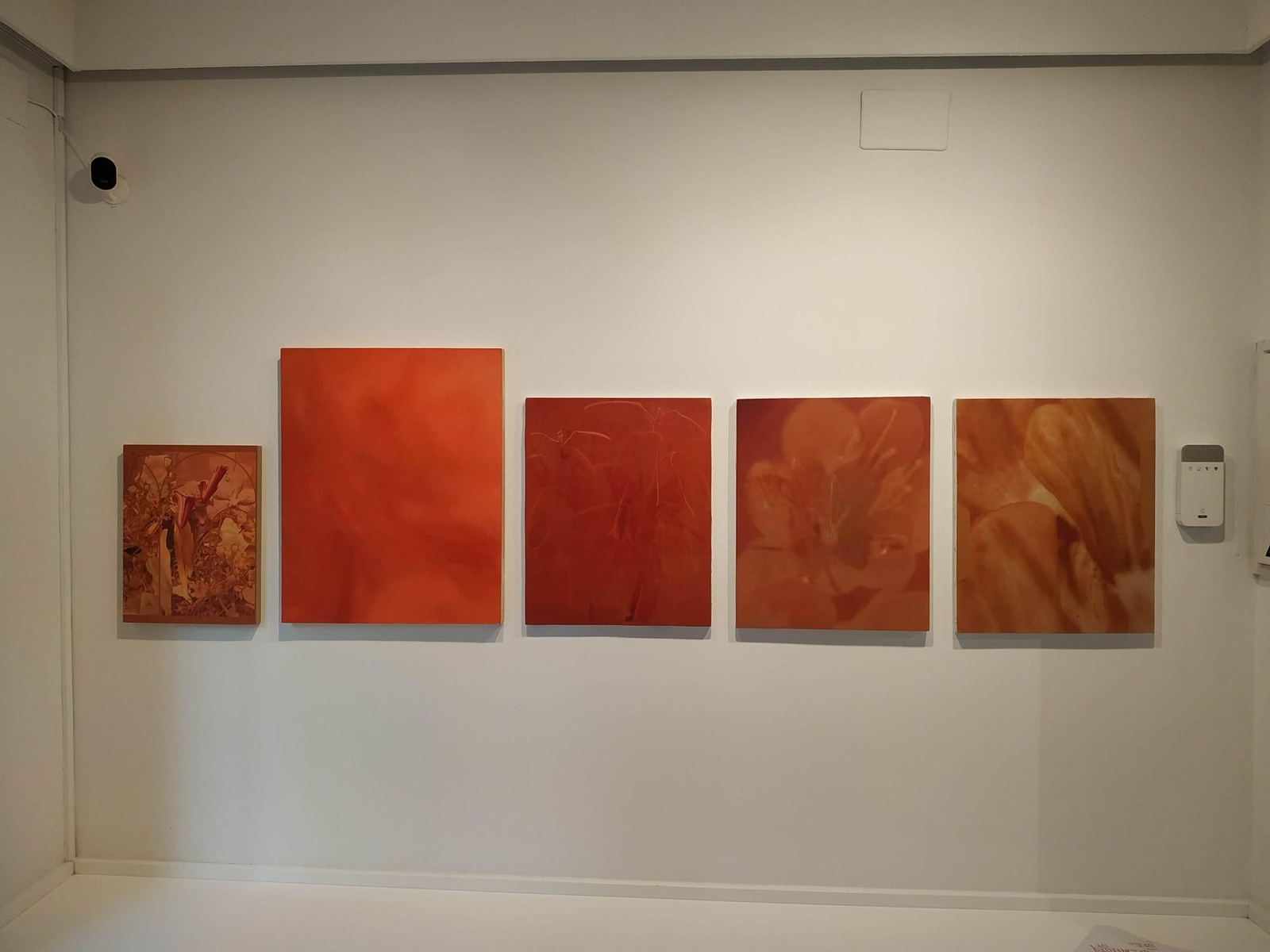 Obras de Nacho Estudillo.