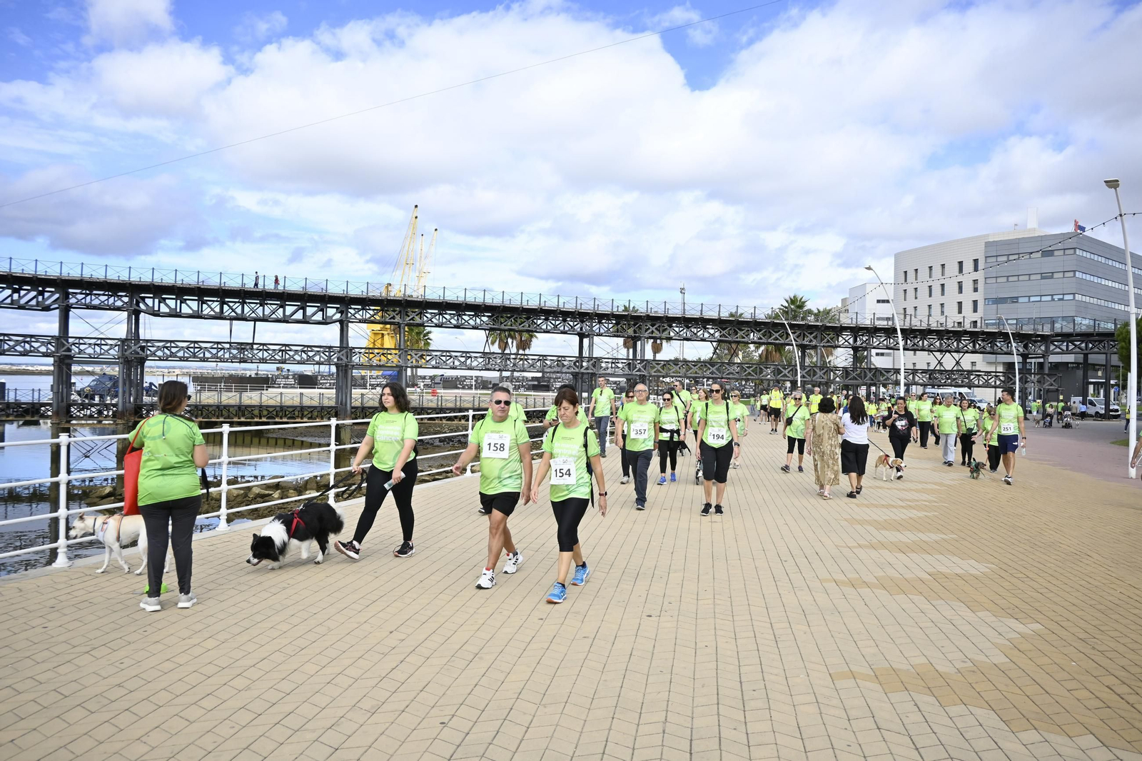 X Edición de "En Marcha Contra el Cáncer" en imágenes
