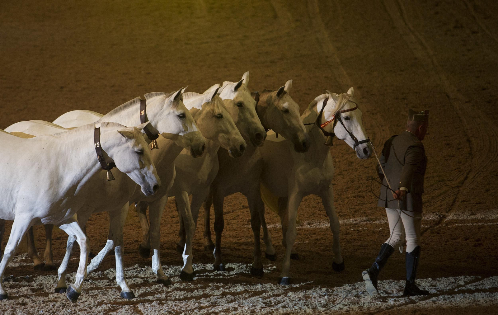 La inauguración de Sicab 2018, en imágenes