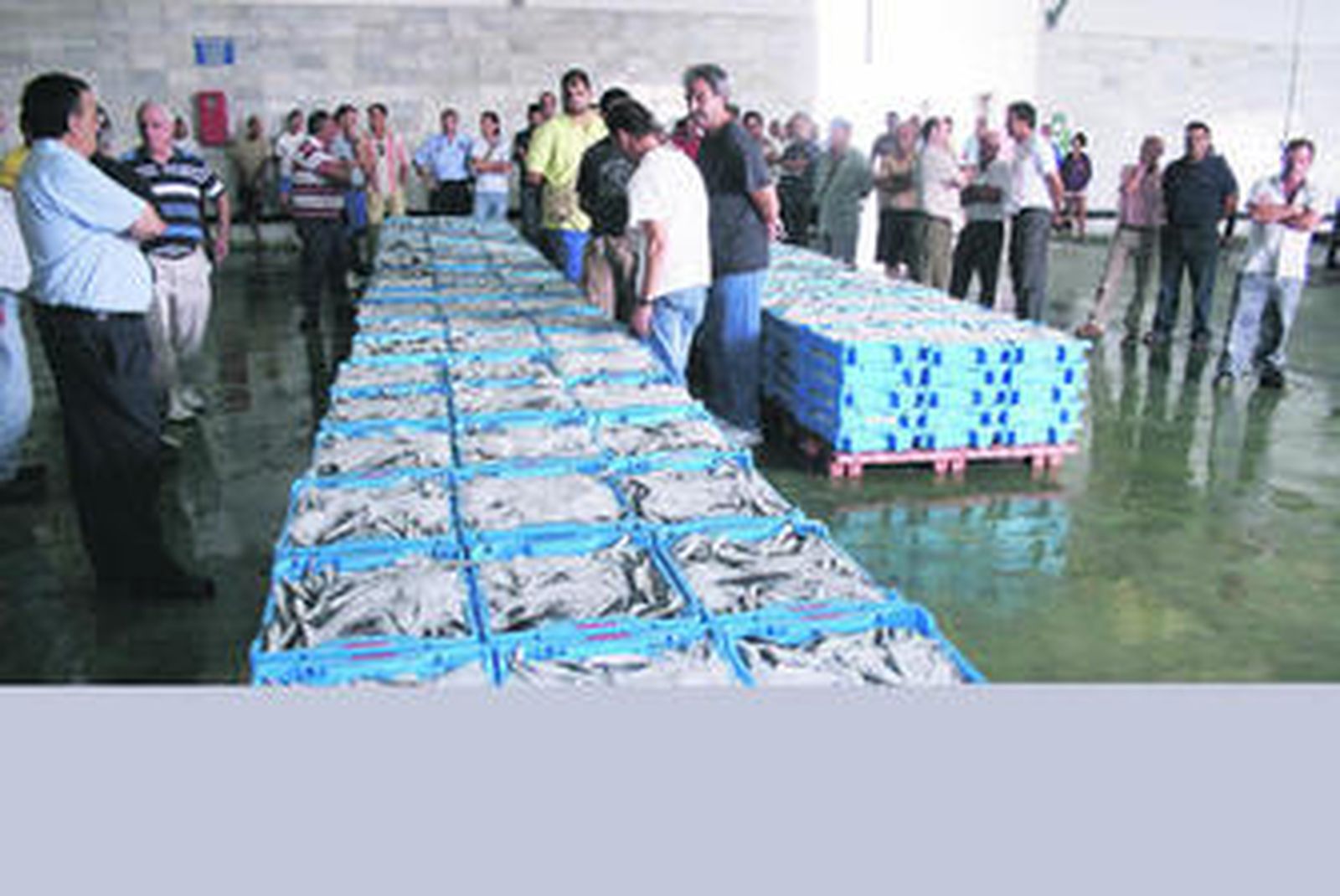 Una de las últimas ventas de boquerón en la lonja de Barbate.