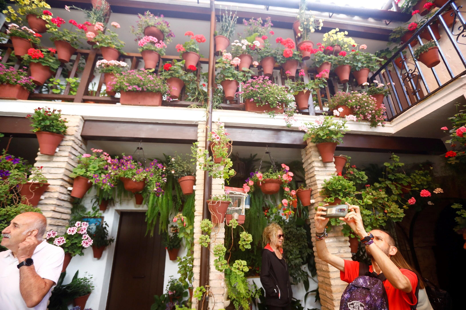 Las mejores imágenes del último día de Patios en Córdoba