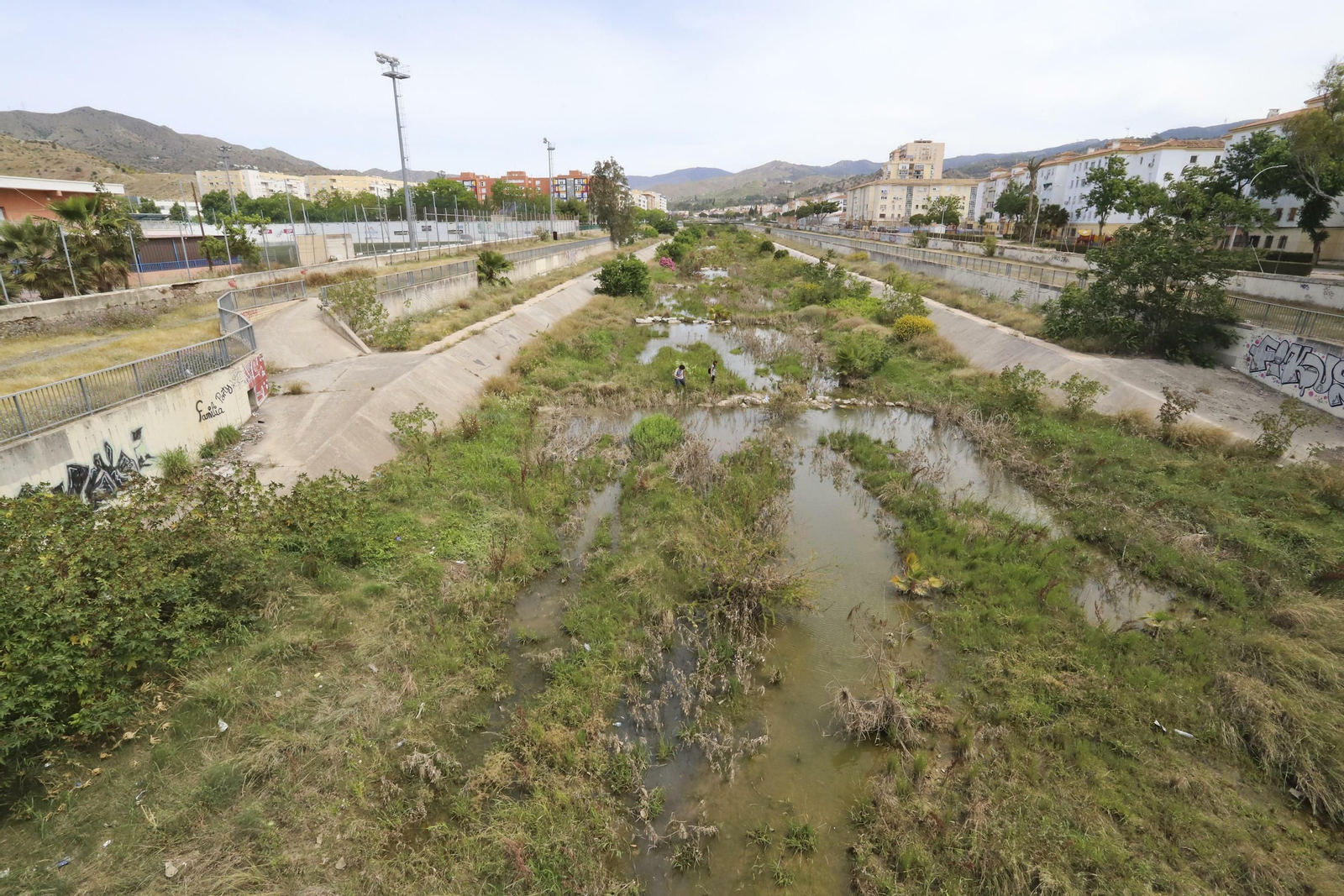 Las fotos del distrito Palma-Palmilla