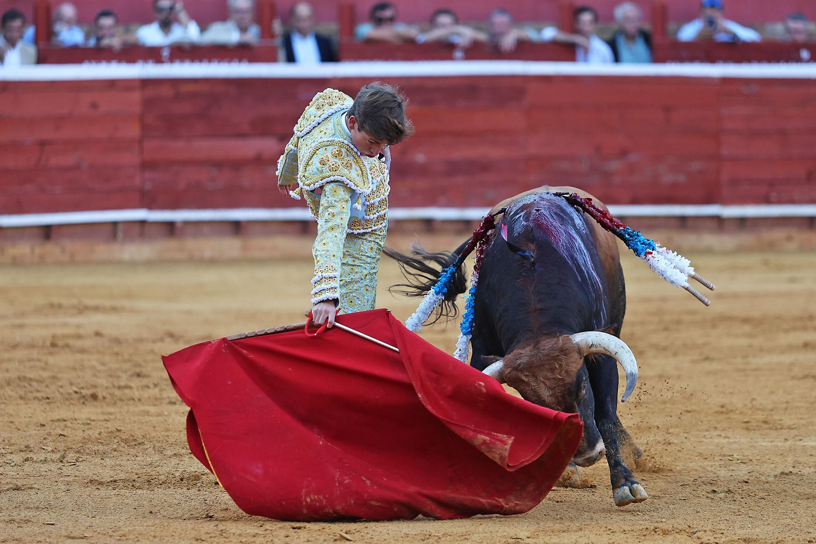 Toros La Merced 2024 Novillada con picadores(