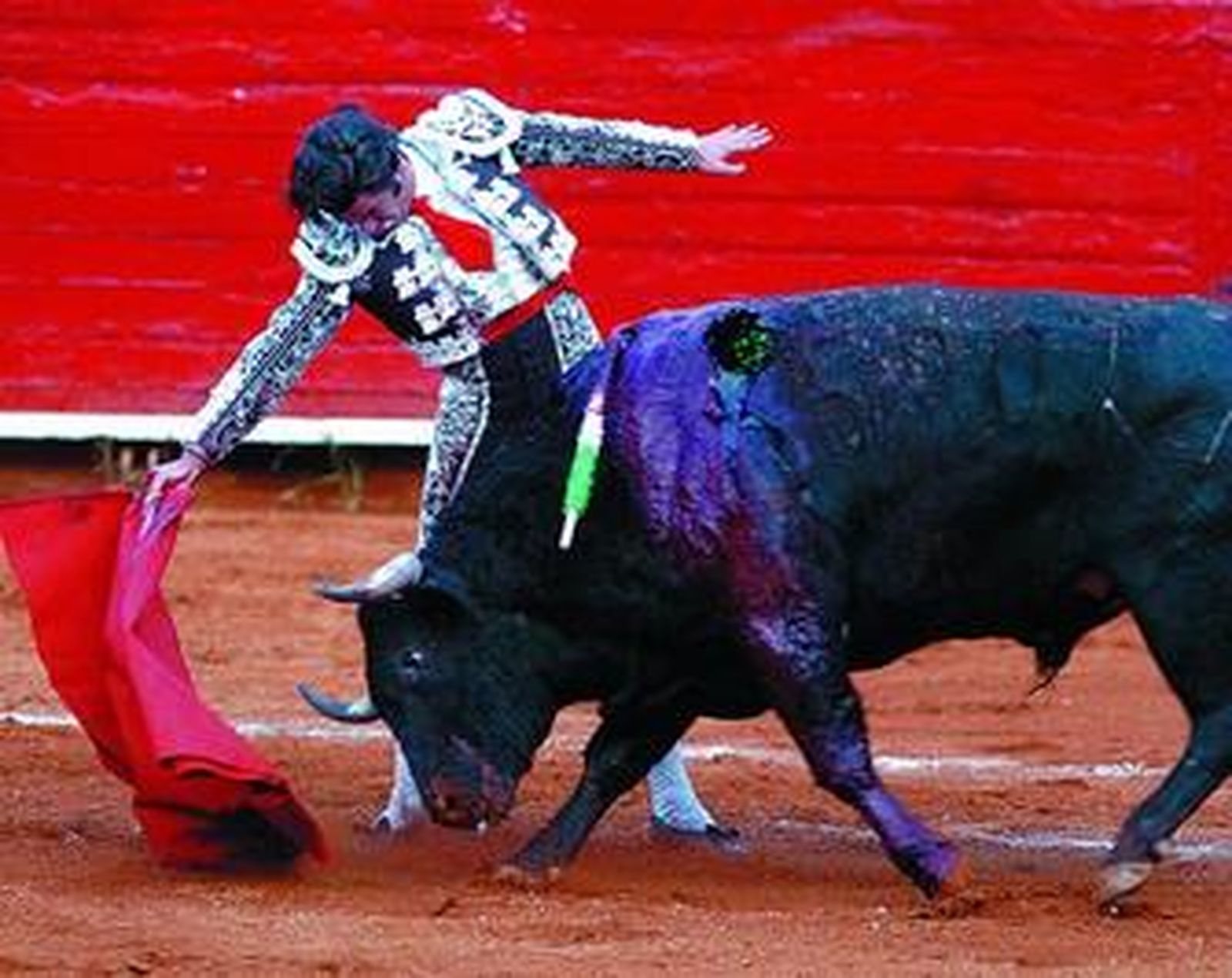 De azabache y merengue con las medias blancas, Morante pasó así de muleta a 'Miguelito'.