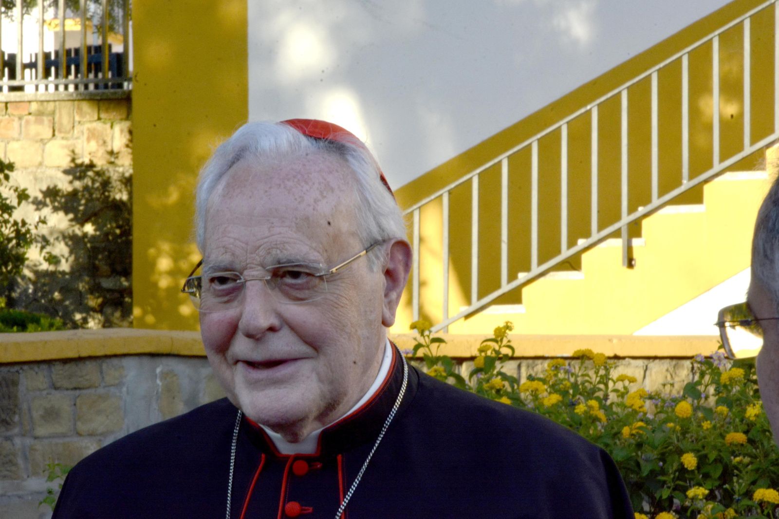 Carlos Amigo Vallejo .