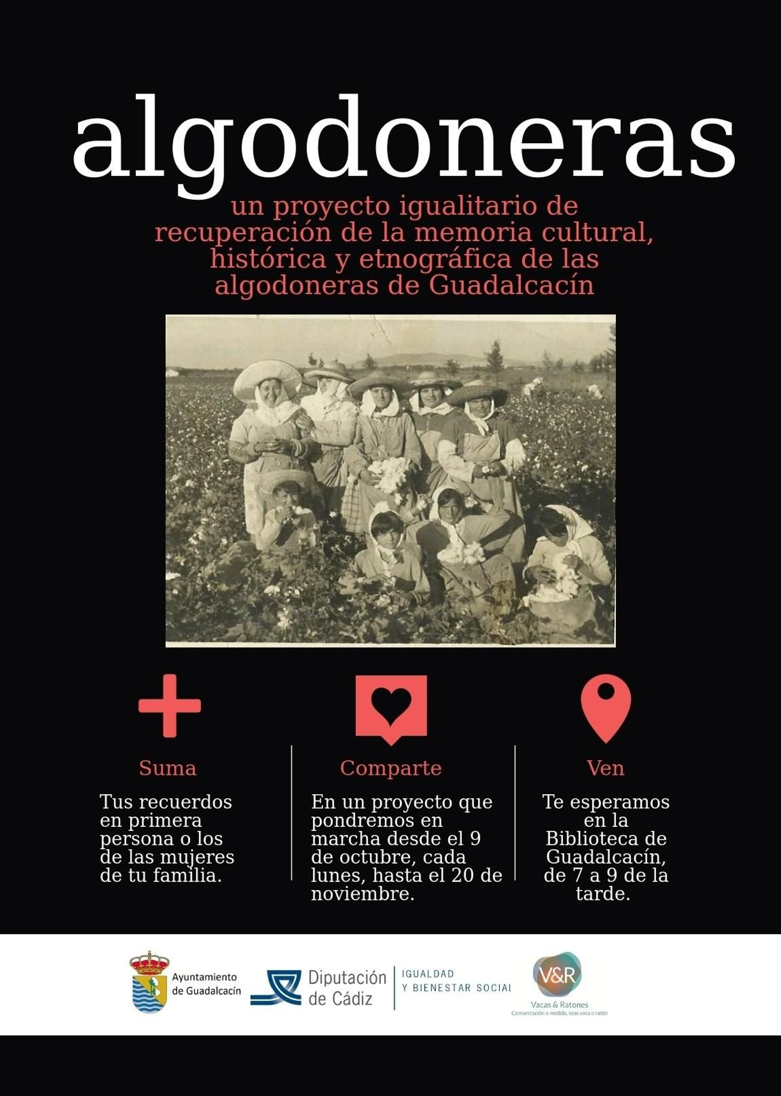Mujeres de Guadalcacín en plena recolección del algodón, imagen del cartel de la convocatoria a las algodoneras.