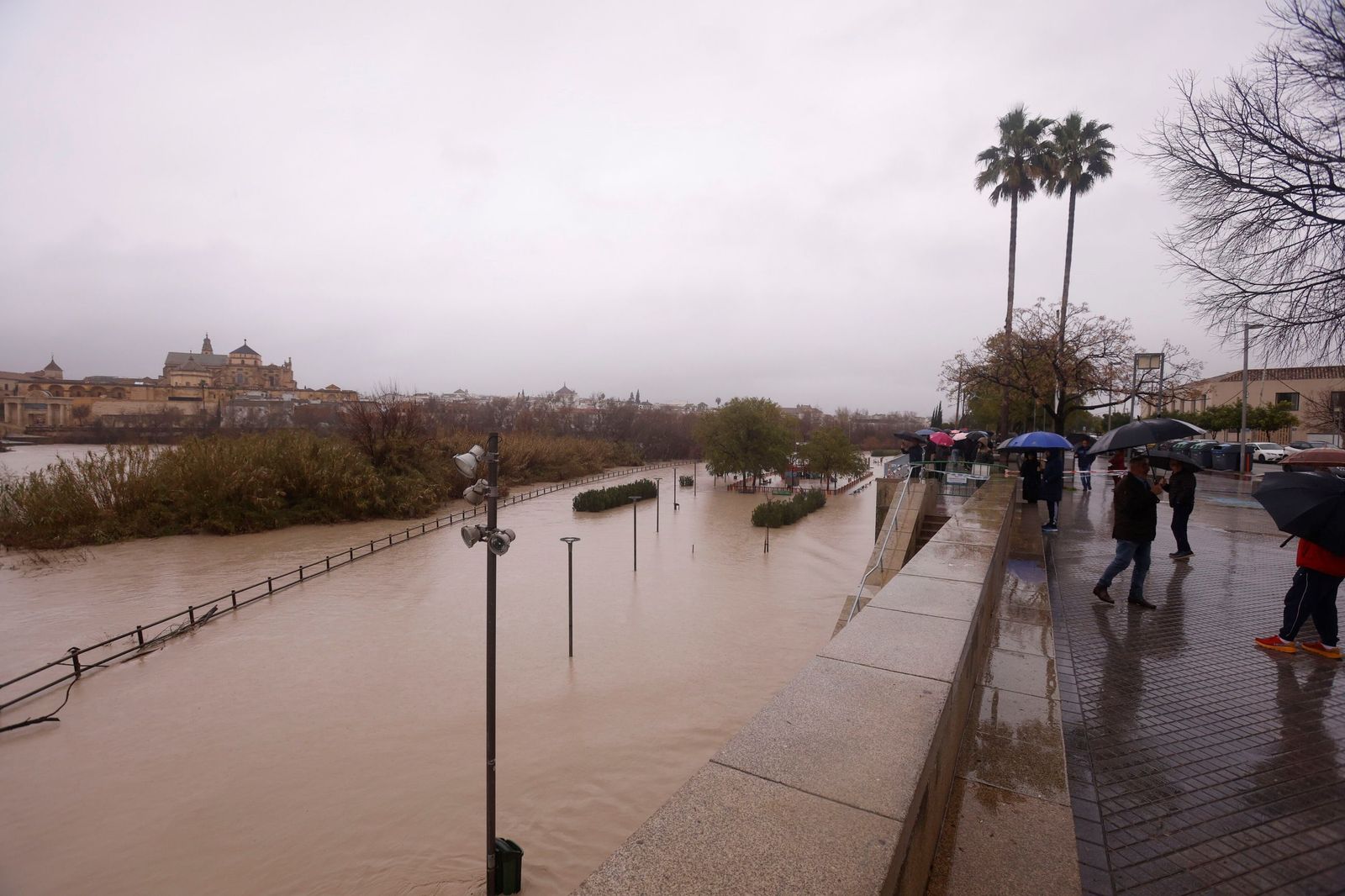 Así se muestra el río Guadalquivir a su paso por Córdoba a la espera de otra crecida
