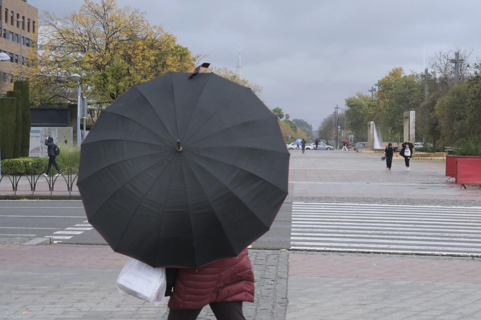 El paso de la borrasca Efraín por Córdoba, en imágenes