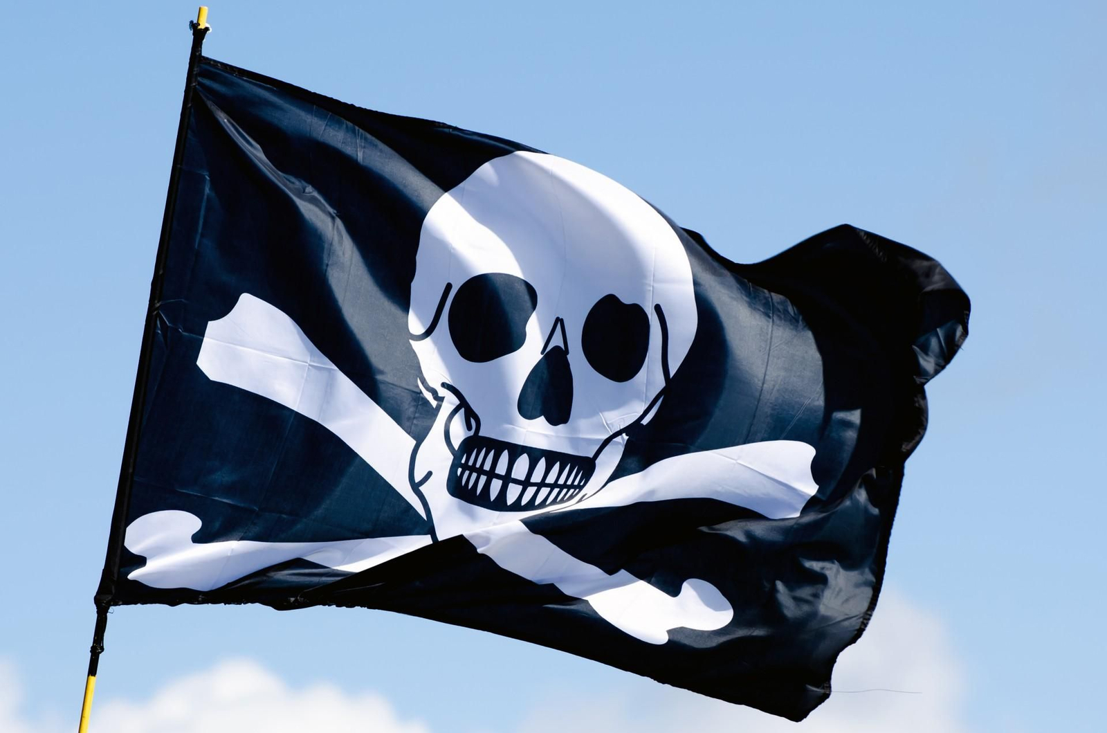 Su bandera, la de los piratas.