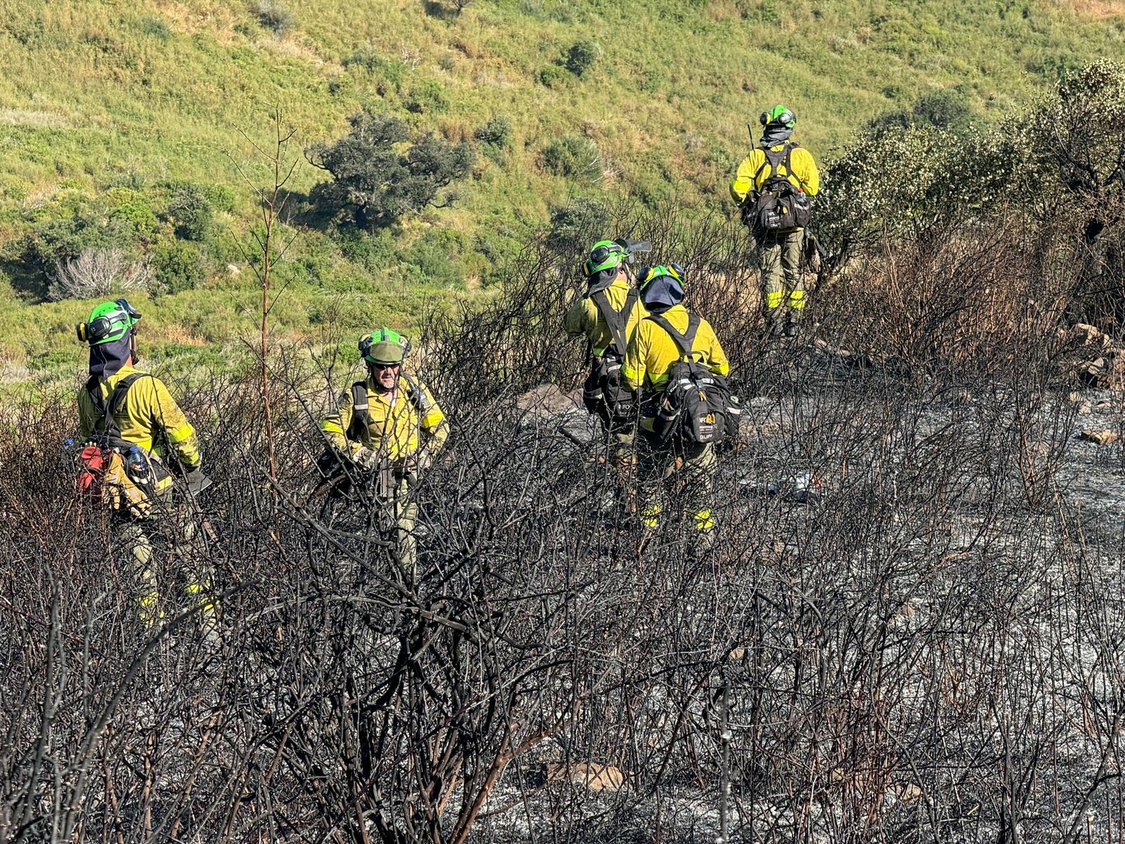 Bomberos forestales, en el lugar del incendio.