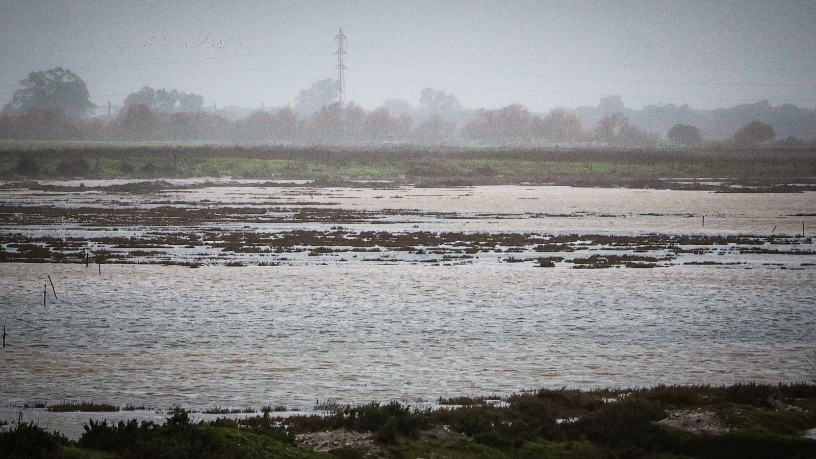 Imágenes de los principales destrozos provocados por la borrasca Leonardo en Cádiz