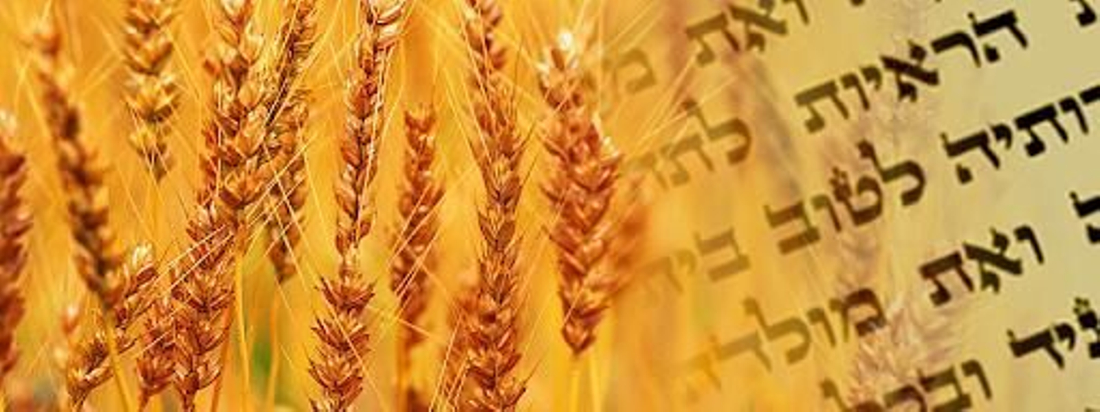 Los judíos españoles celebran la fiesta de Shavuot Los judíos españoles celebran la fiesta de Shavuot