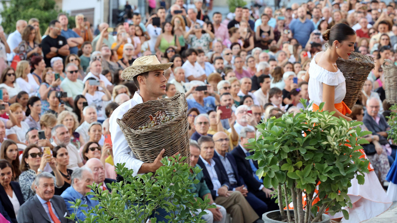 Tradicional Pisa de la Uva en la Catedral de Jerez 2023