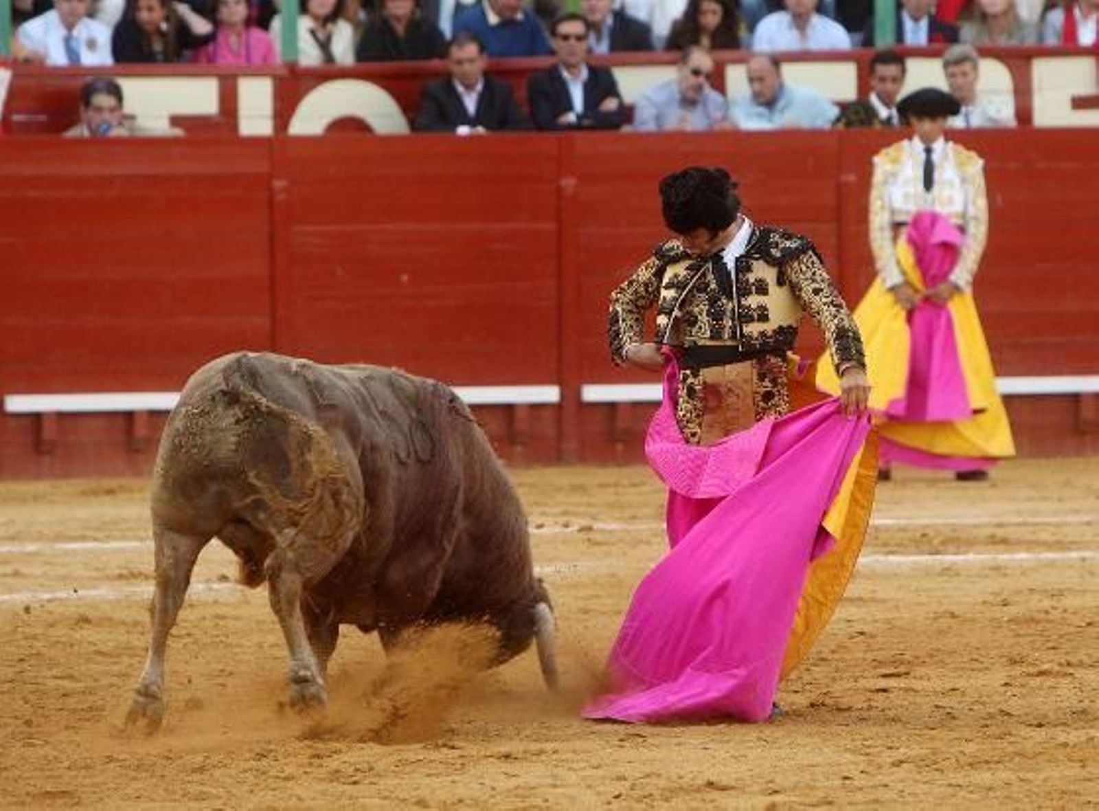 El diestro José Antonio "Morante de la Puebla" protagoniza una actuación magistral, en el cuarto festejo de la Feria del Caballo de Jerez, al cortar dos orejas, que pudieron ser más de haber estado más acertado con los aceros. 

Foto: Juan Carlos Toro