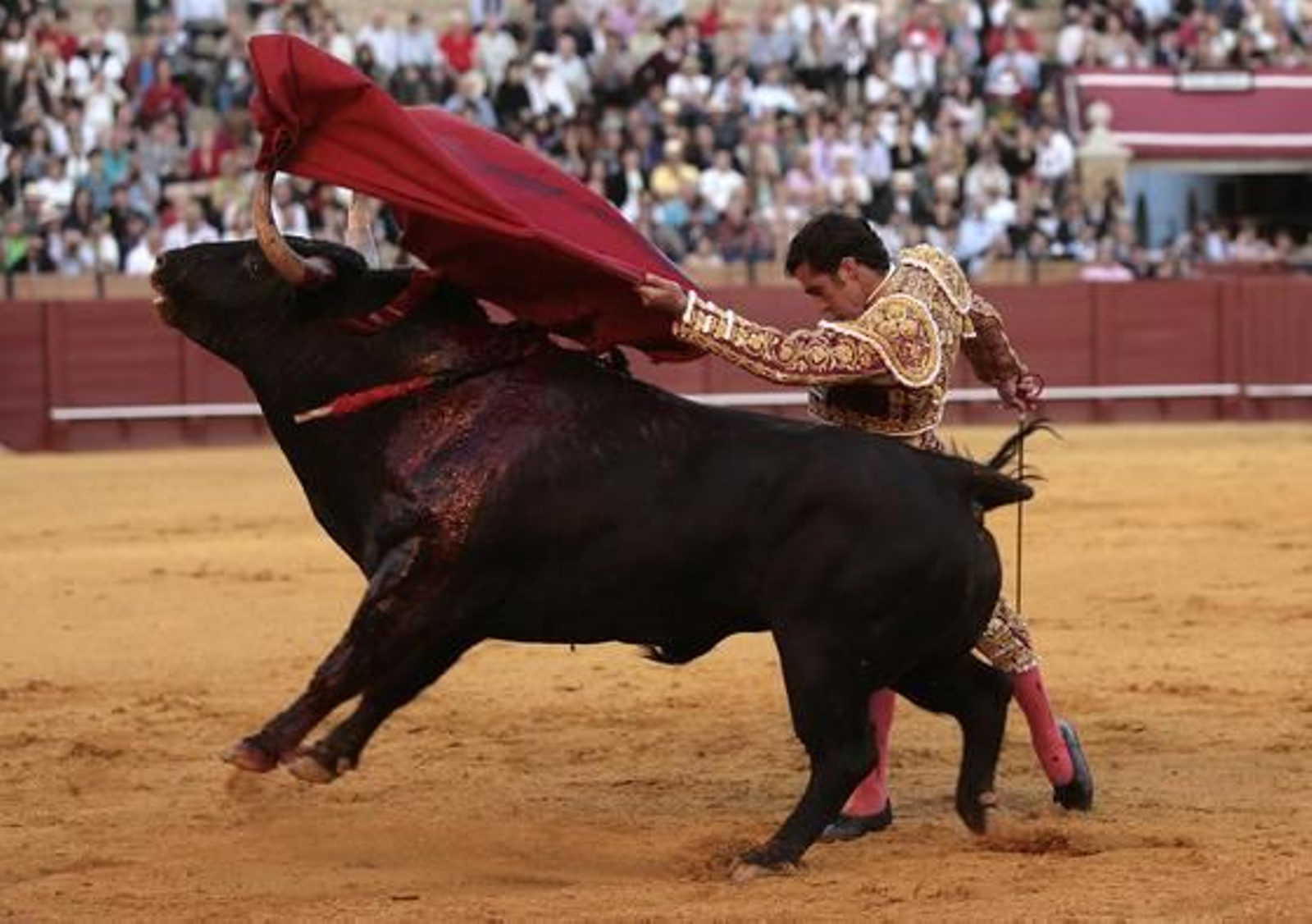 Foto: Juan Carlos Muñoz