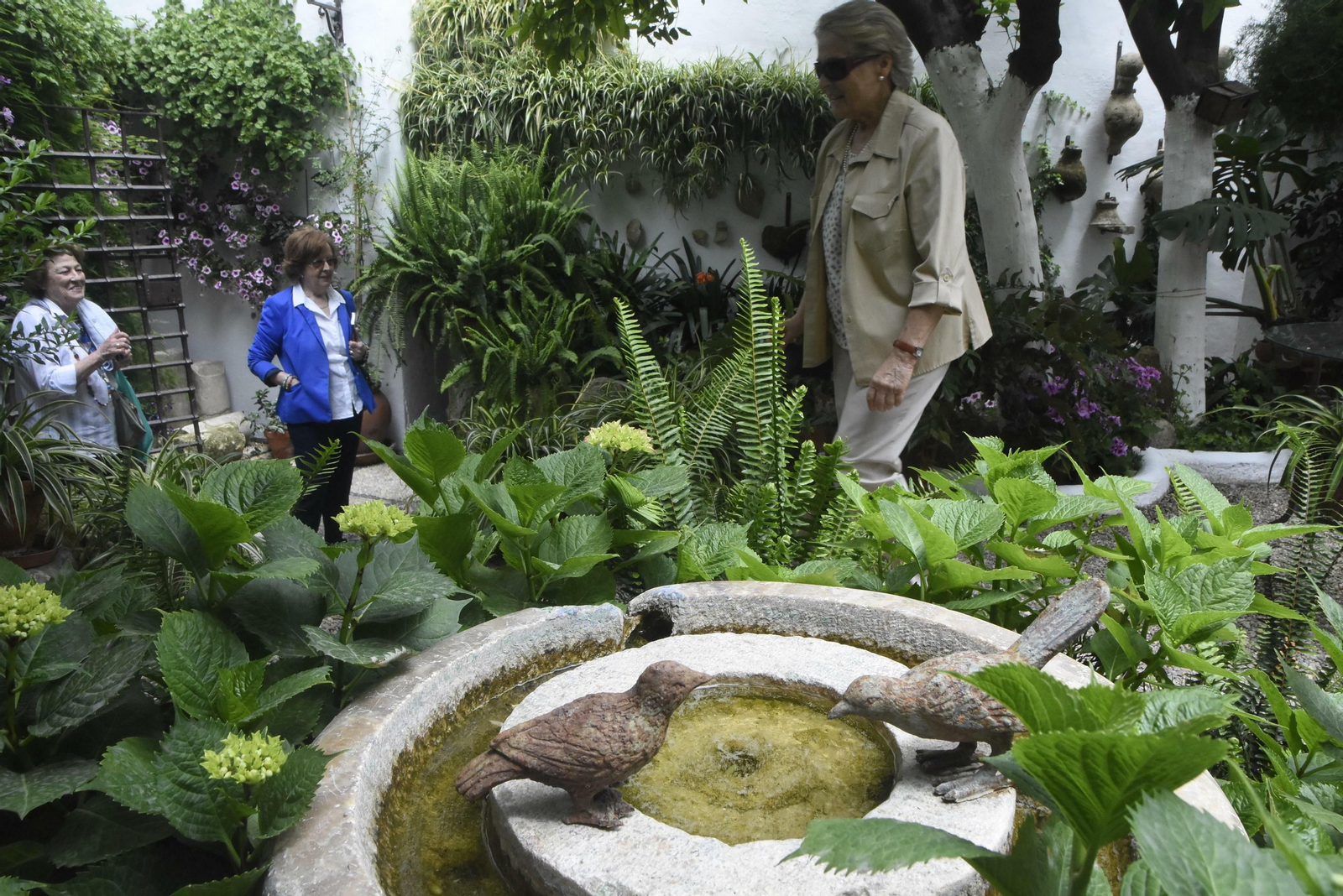 Detalle del patio de plaza de San Rafael, 7