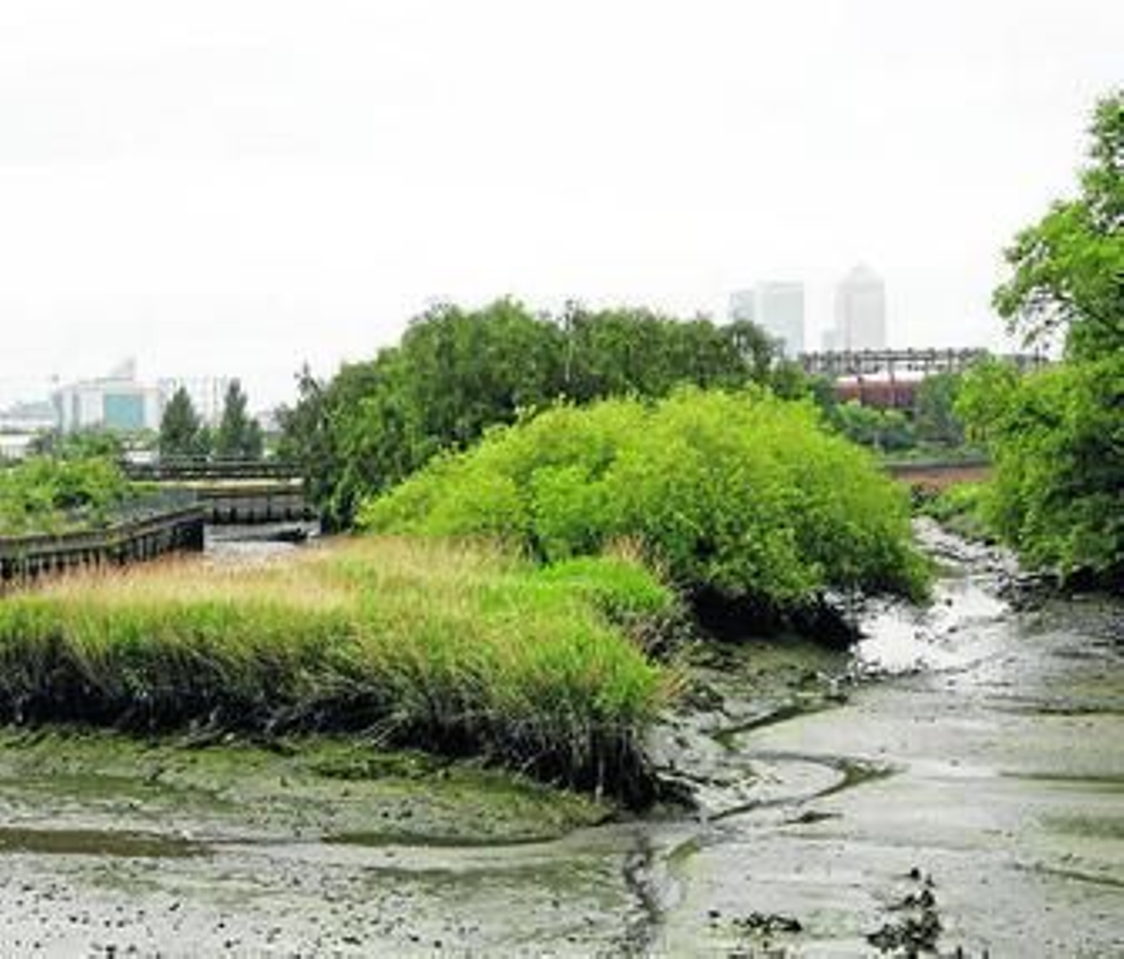 Lara Almarcegui, fotografiada junto a una de sus diapositivas en el Monasterio de la Cartuja.