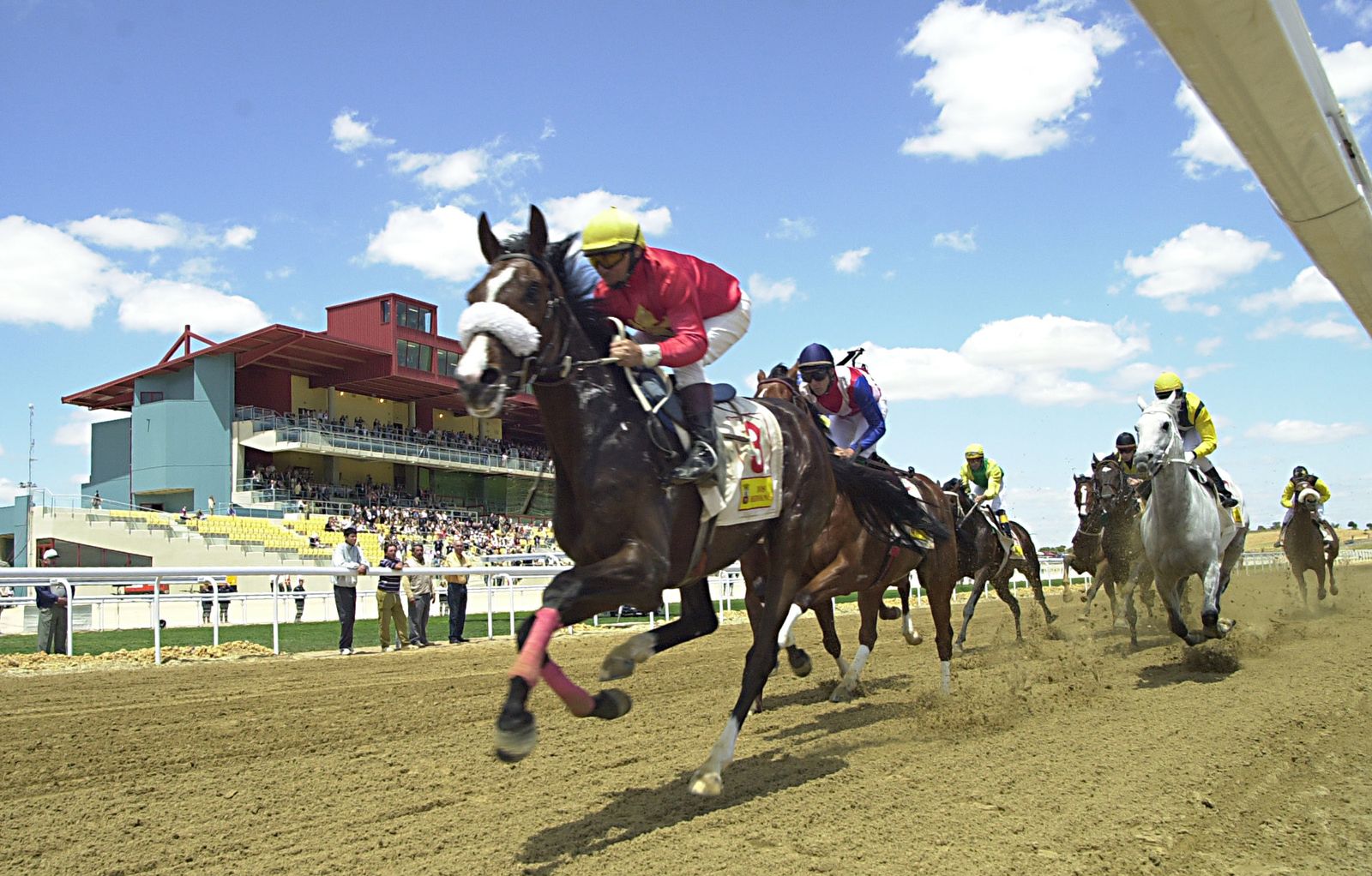 Una carrera en el Gran Hipódromo de Andalucía, promovido por el Ayuntamiento de Dos Hermanas.