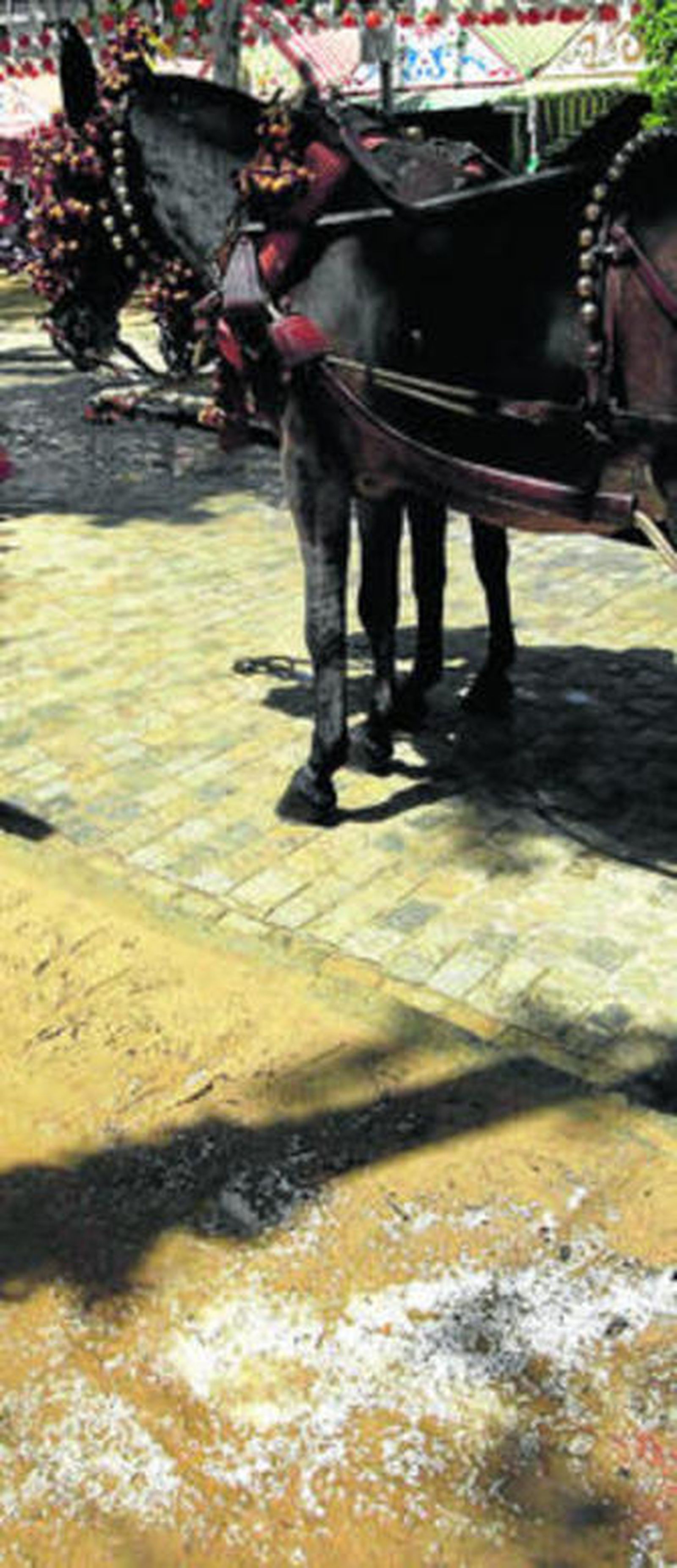 El cloruro de calcio esparcido por una calle del real.