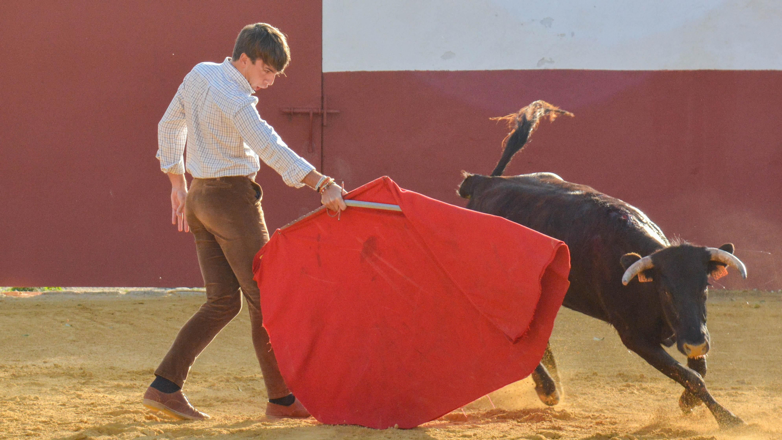 Tentadero con Talavante en la finca La Palmosilla, en Tarifa