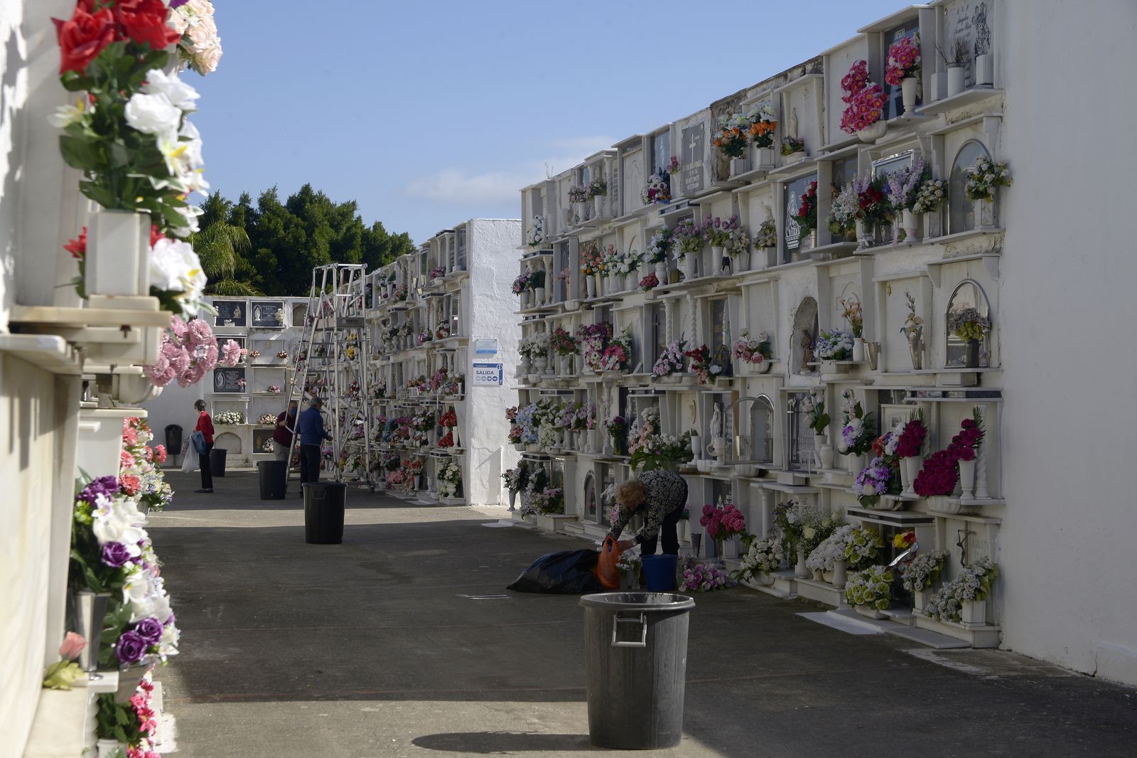 Fotos de la víspera de los Tosantos