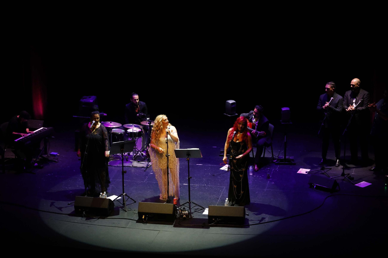 Fotos del concierto de la familia de Camarón en La Línea Flamenca