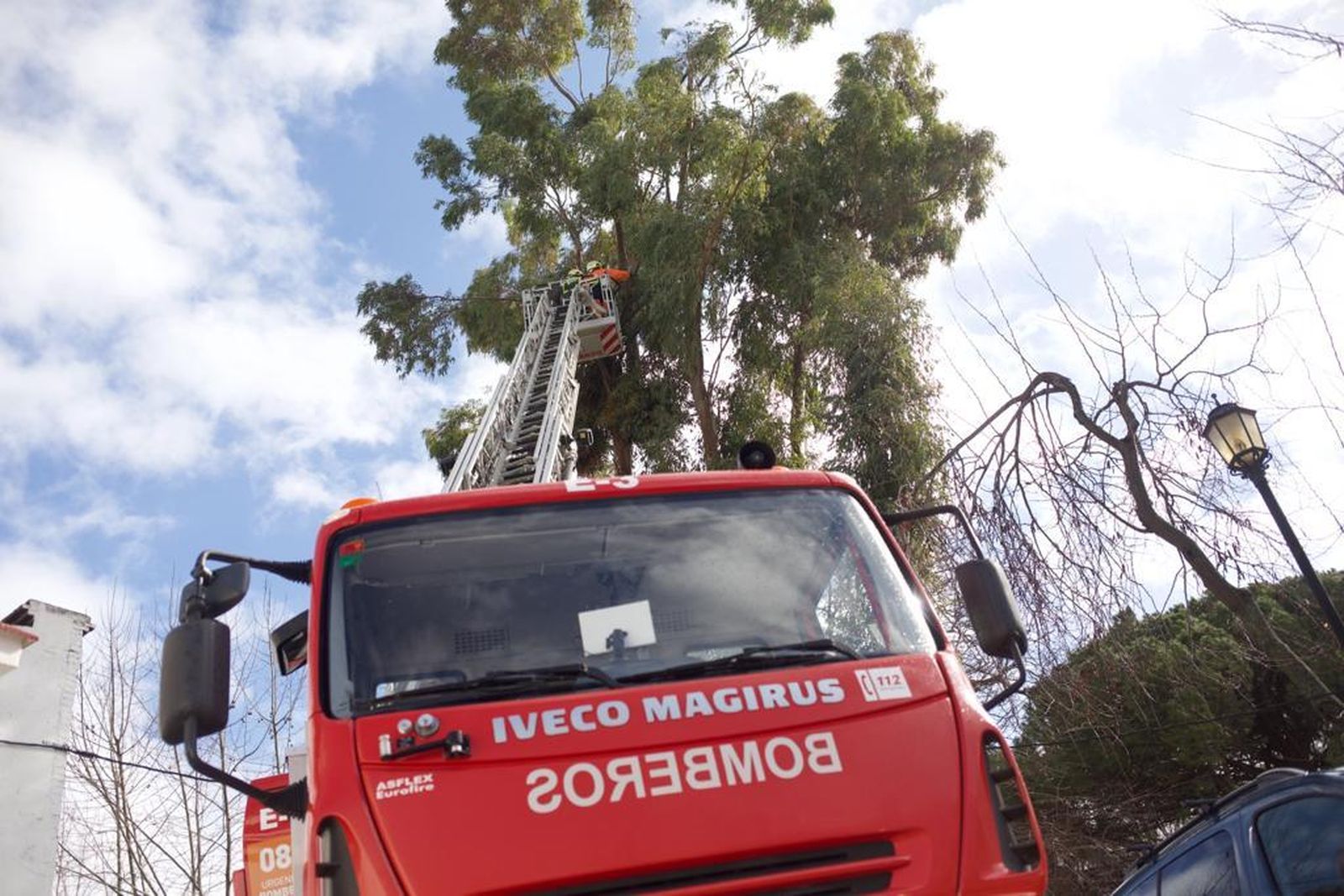 Bomberos actúan en un árbol en Ronda por el fuerte viento.