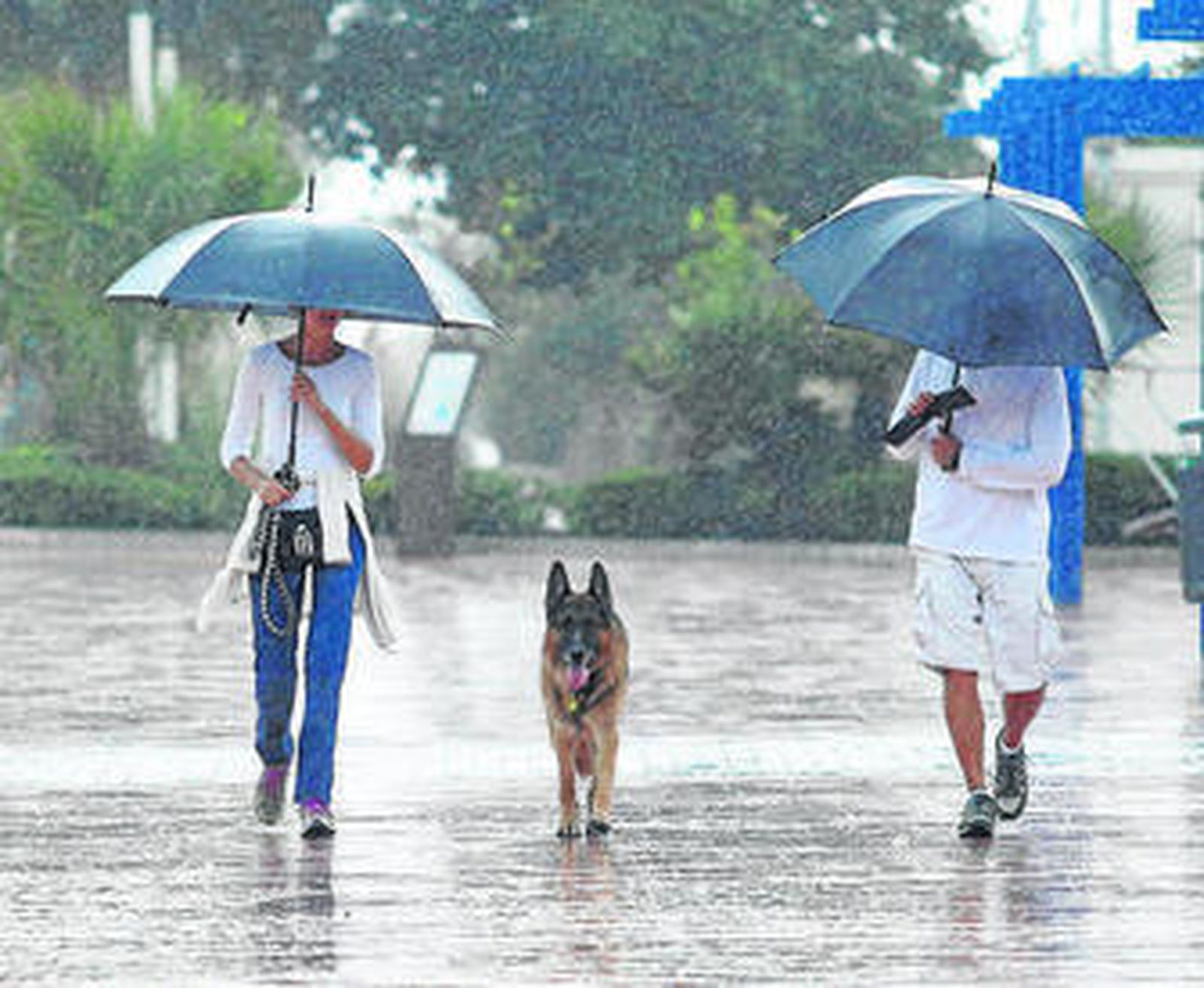 Un grupo de personas ataviadas con un chubasquero bajo la lluvia en Ronda.