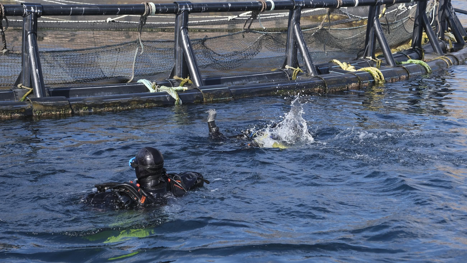 La piscifactoría de El Cañarete, en imágenes