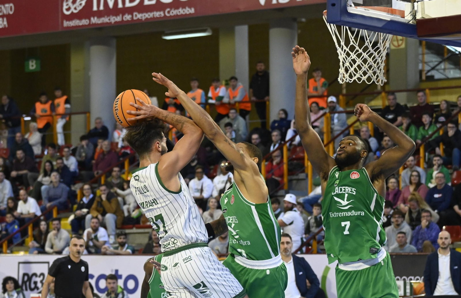 Las mejores fotos del ambiente en el Coto Córdoba - Cáceres Patrimonio de la Humanidad