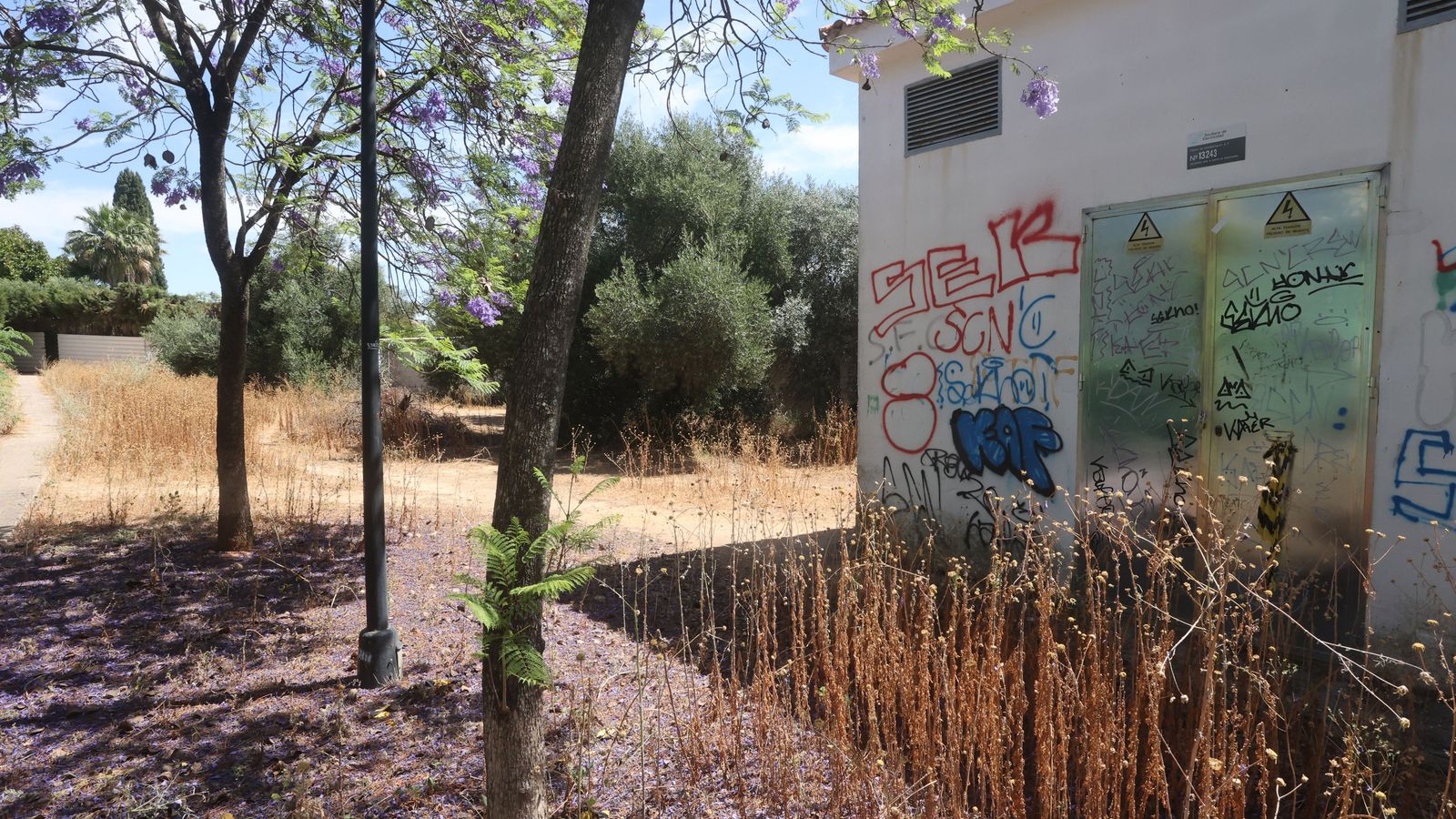 El abandono de los senderos de Simón Verde es patente.