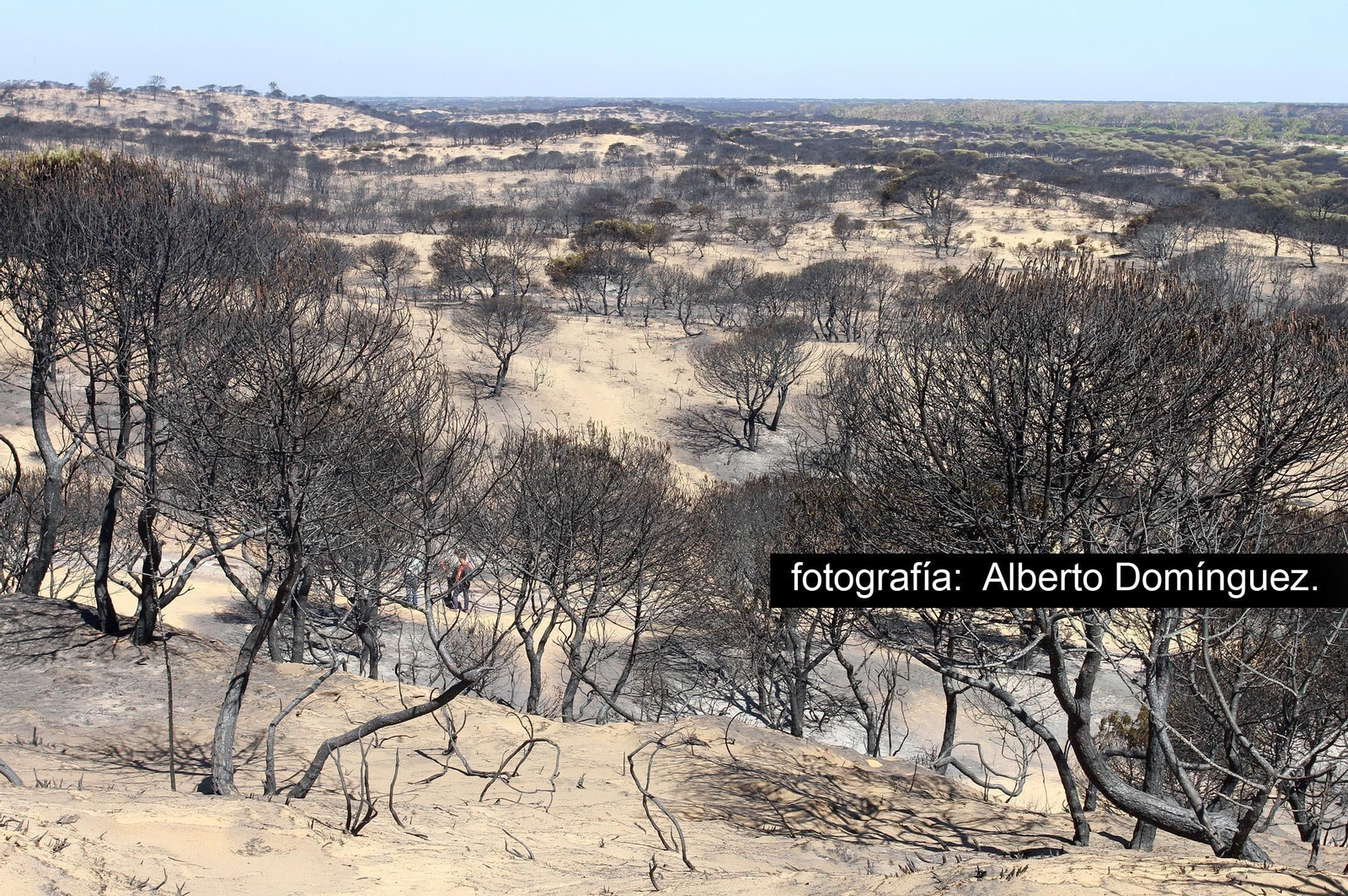 Imágenes de Cuesta Maneli tras el incendio.