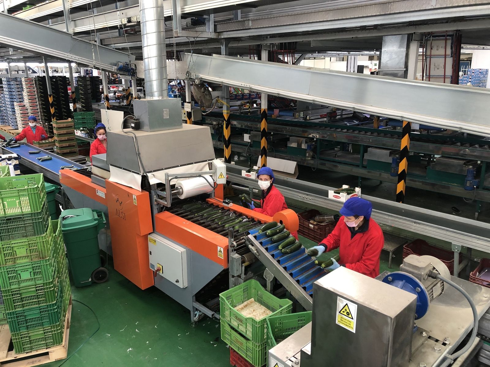 Trabajadores de la empresa agroalimentaria almeriense Vicasol