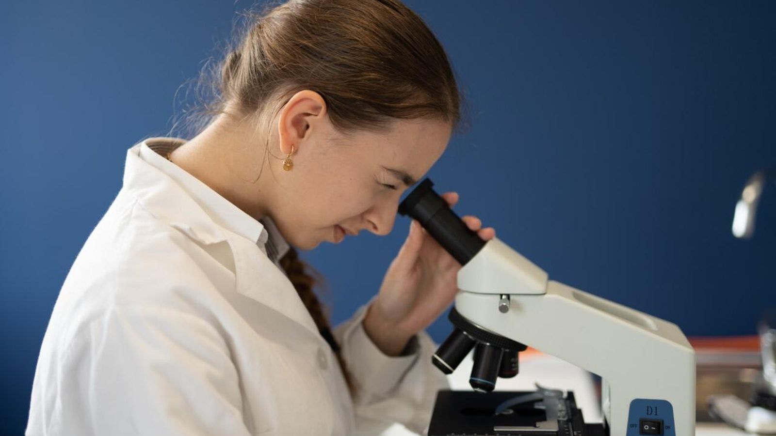 International School Andalucía