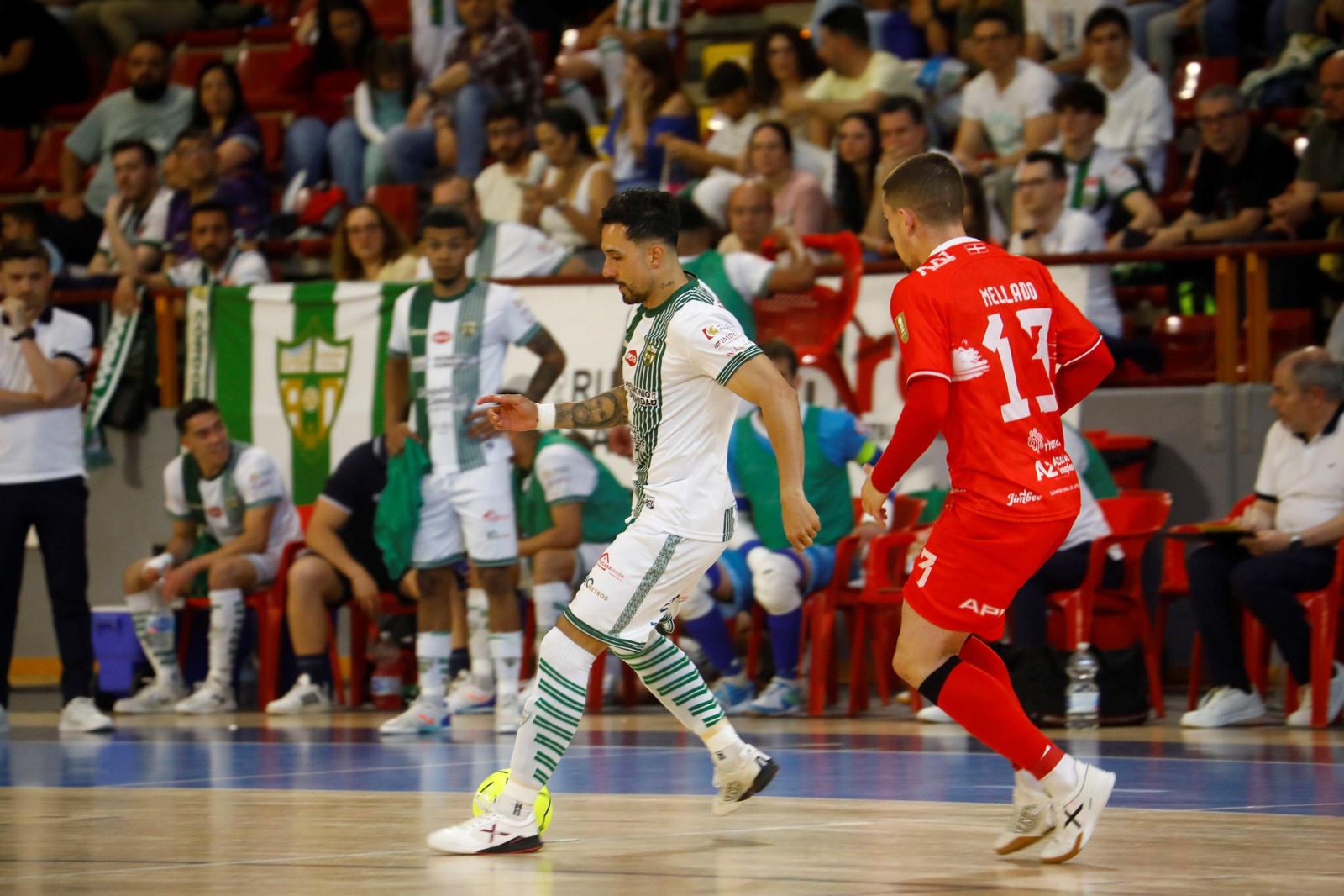Las mejores fotos del ambiente en Vista Alegre para el Córdoba Futsal - Jimbee Cartagena