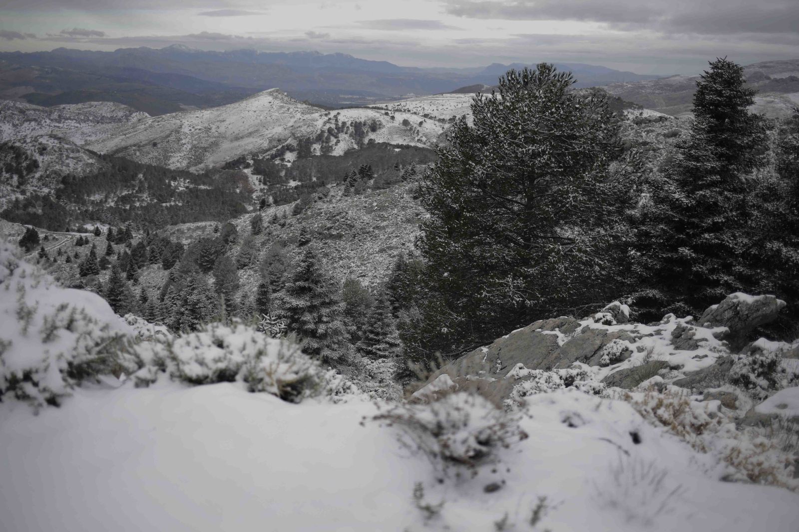 La excursiones a los parajes nevados de Málaga, en imágenes