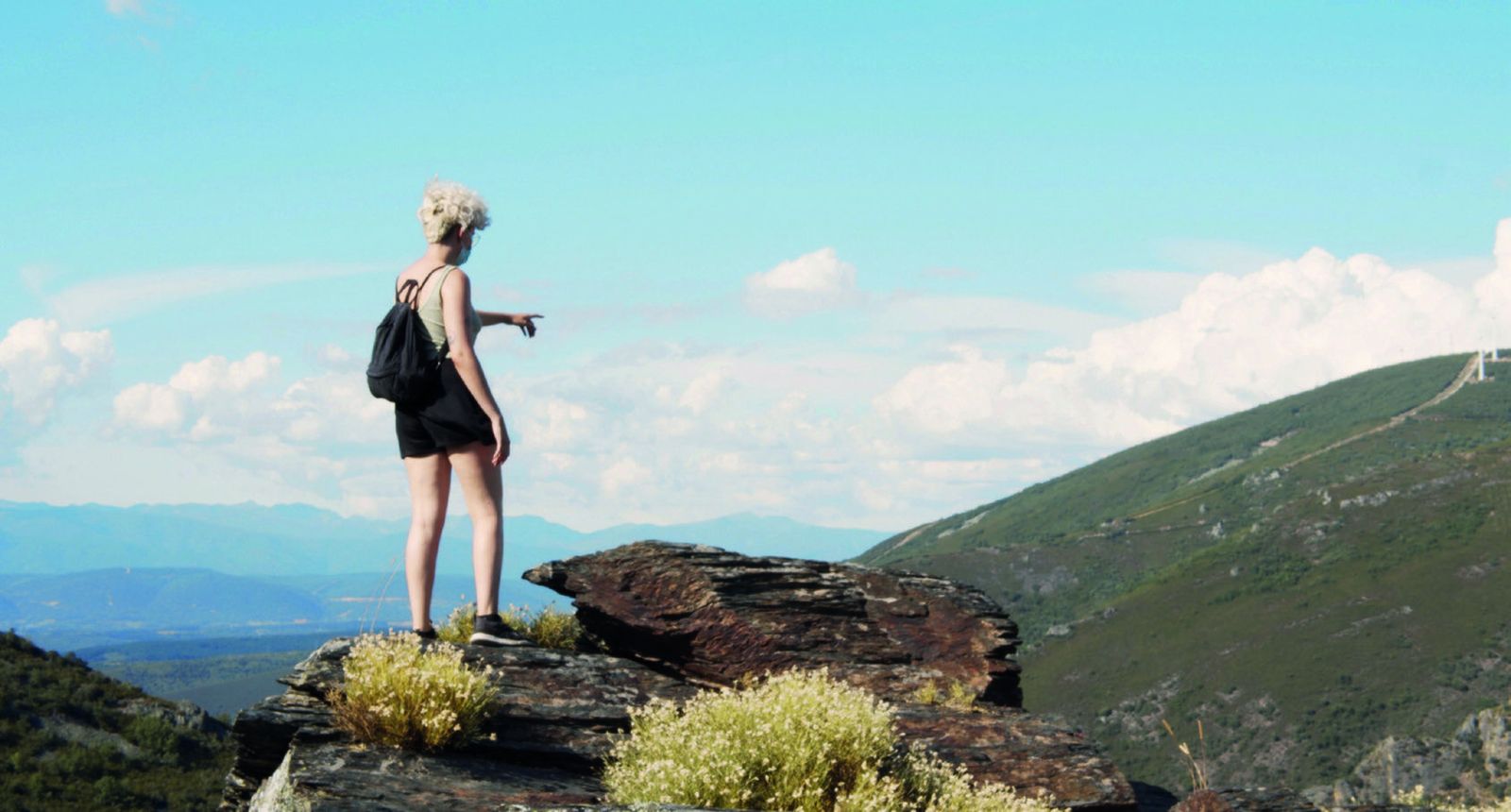 'Buscando la película (verano de 2020)'.