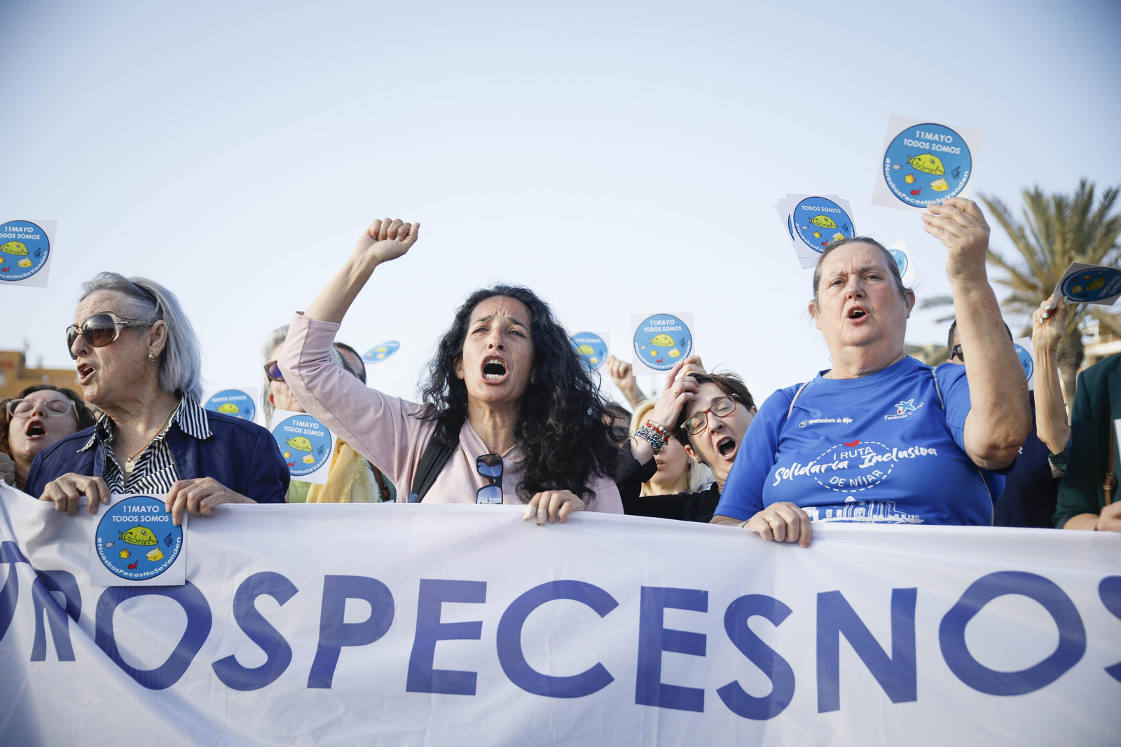 Nuestros peces no se venden, en imágenes