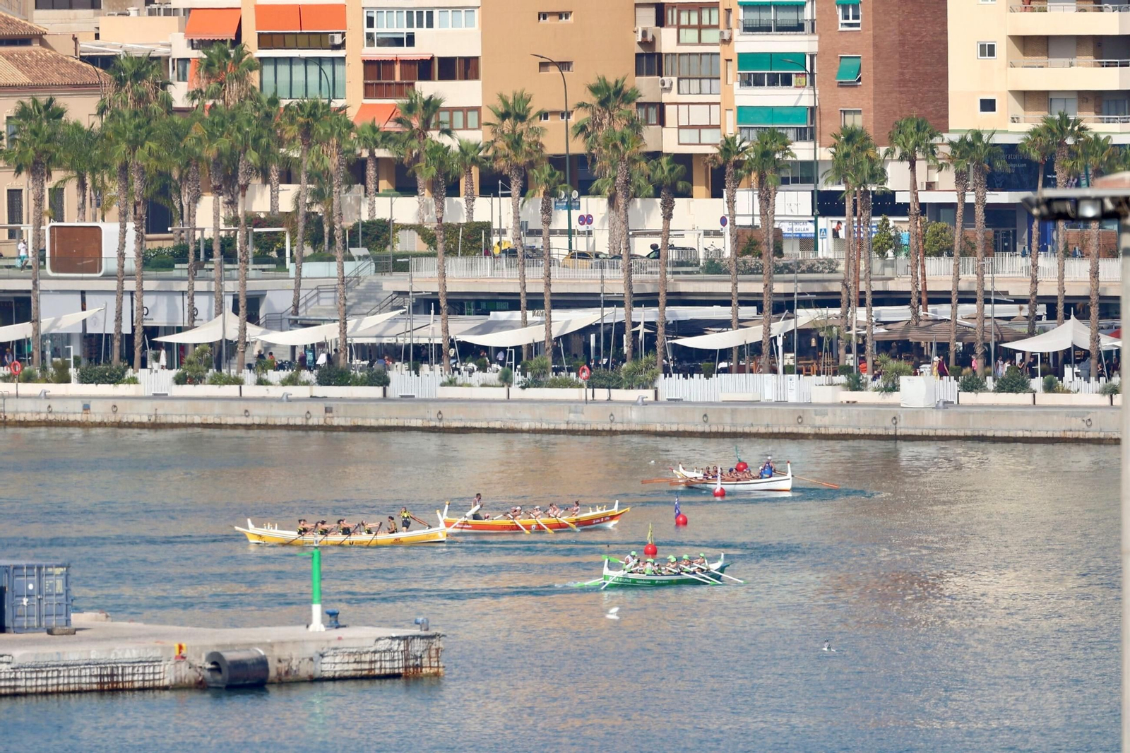 Las fotos de la 62ª edición del GP Ciudad de Málaga de jábegas Las fotos de la 62ª edición del GP Ciudad de Málaga de jábegas
